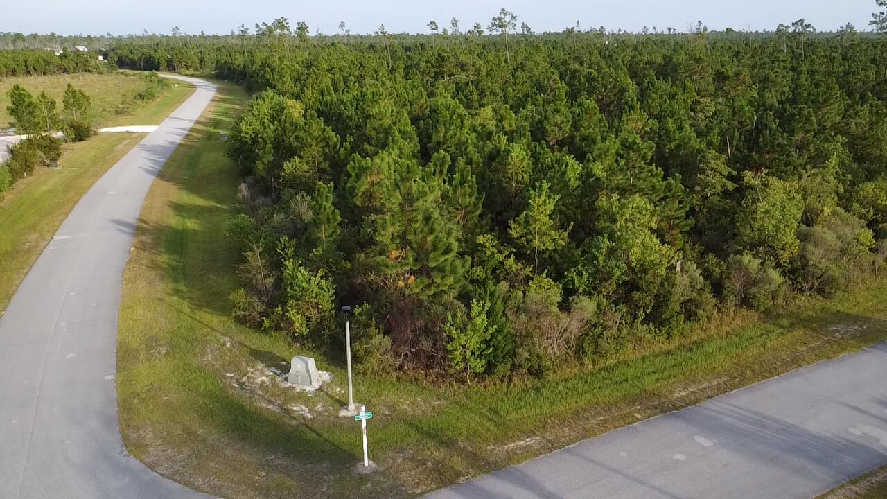 Beautiful 2.3 acre CORNER LOT 10 miles from Mexico Beach! Vacant land lot in gated community just minutes away from multiple beach locations! Are you ready to build your dream home in this gated neighborhood?  Wetappo Estates is a gem with great amenities such as a community boat dock, common building, walking trails and more. Short 10-15 min drive to Mexico Beach, Port St. Joe or Wewahitchka. Well & Septic - needed