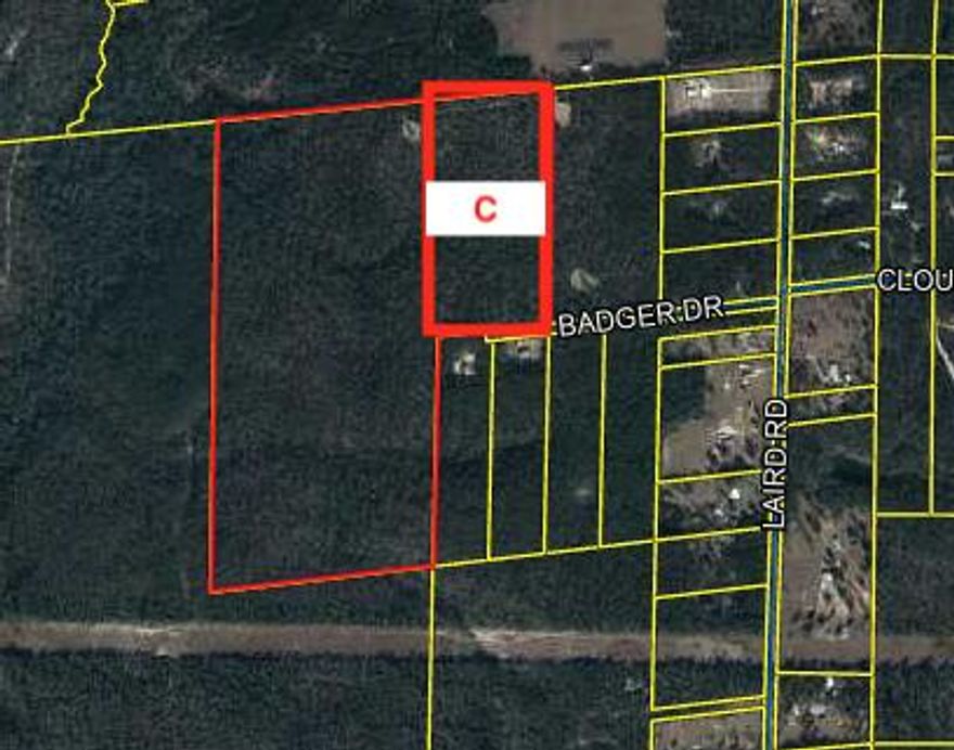 20+/- Ac of Wooded land on Badger Drive, Perfect lot to Build your new home!!! You don't want to miss this opportunity.County Zoning is rural village. Future land use is rural residential.Seller Will consider owner financing offers.