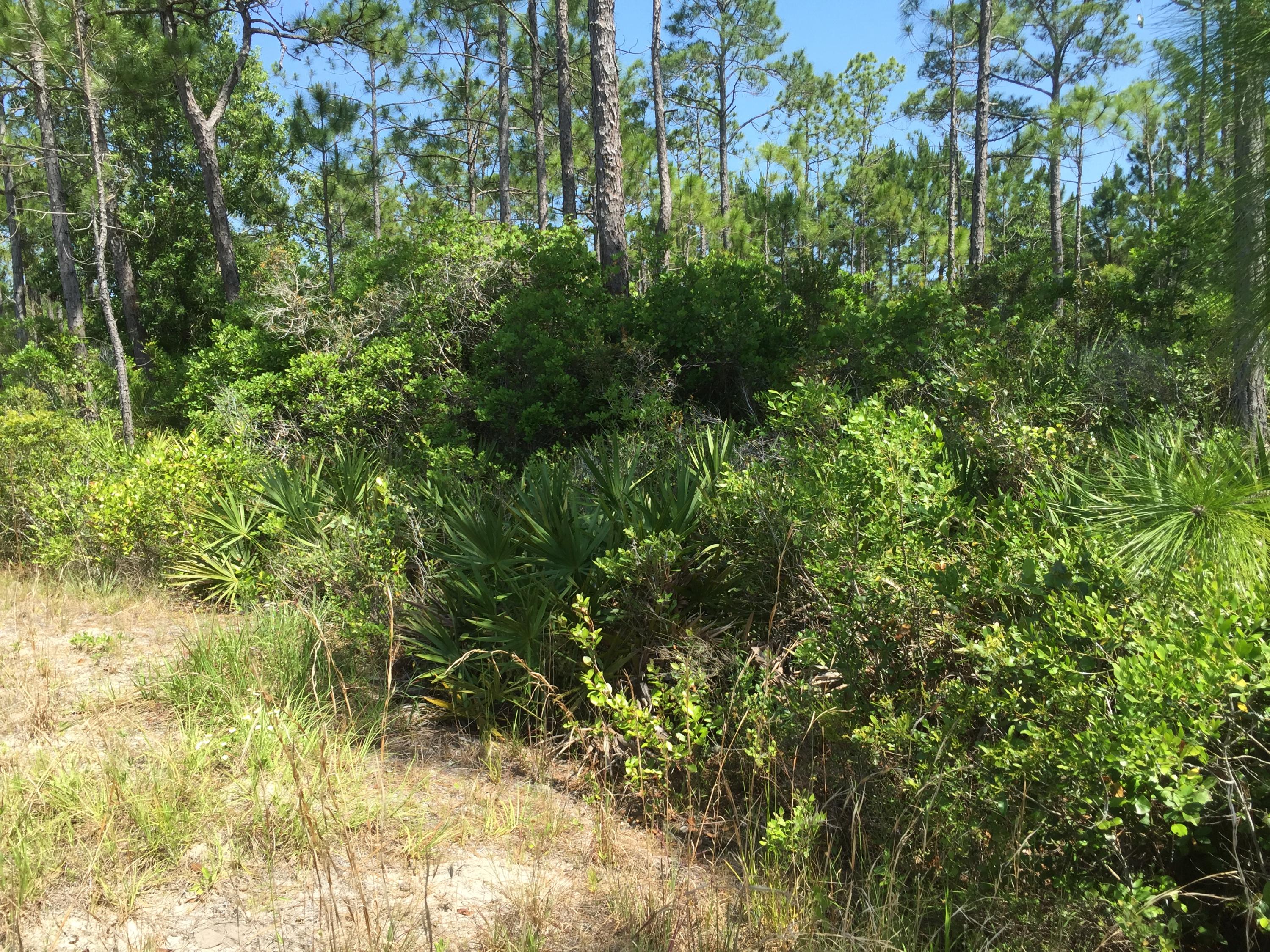 SANTA ROSA PLANTATION - Land