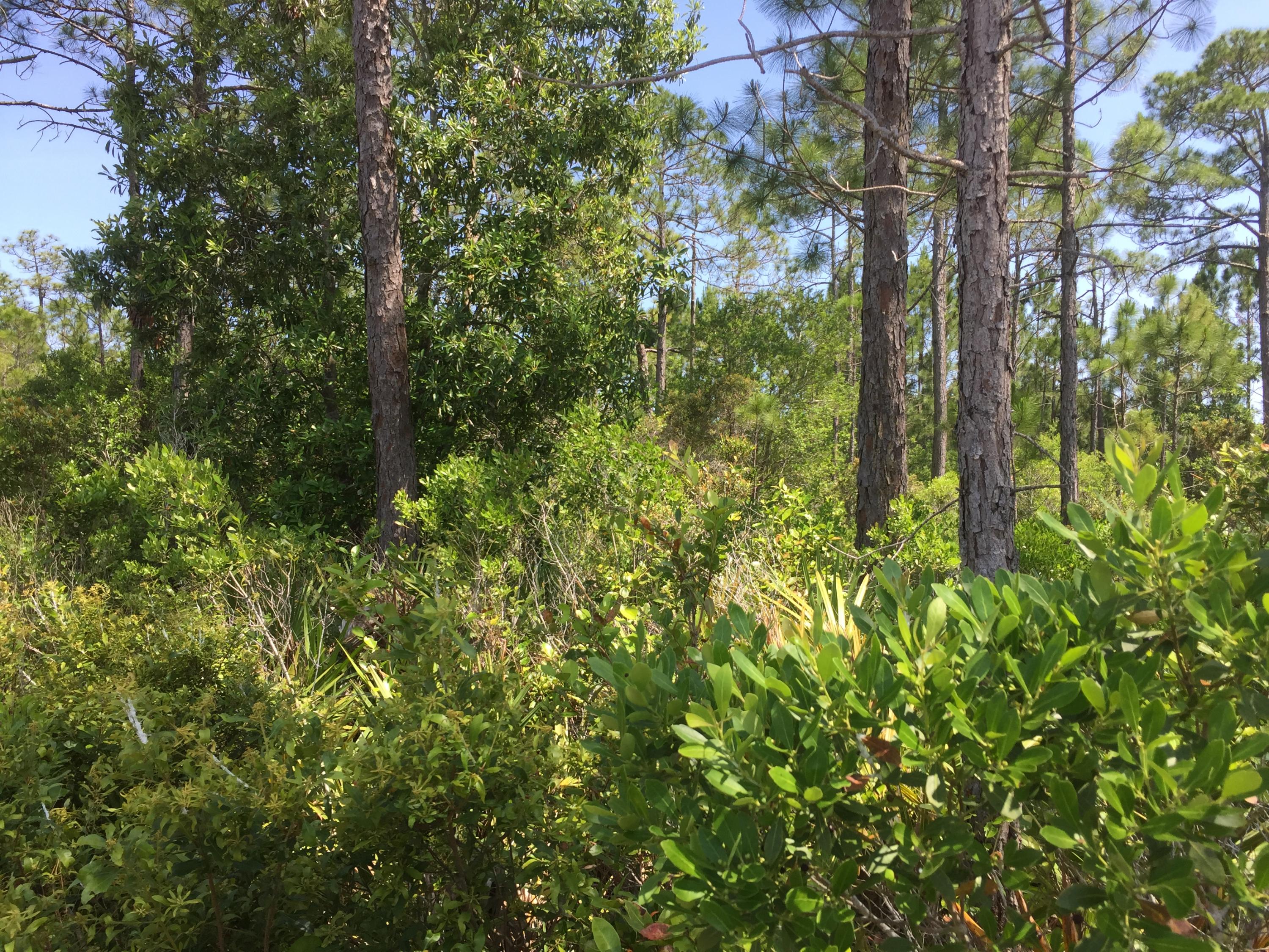 SANTA ROSA PLANTATION - Land