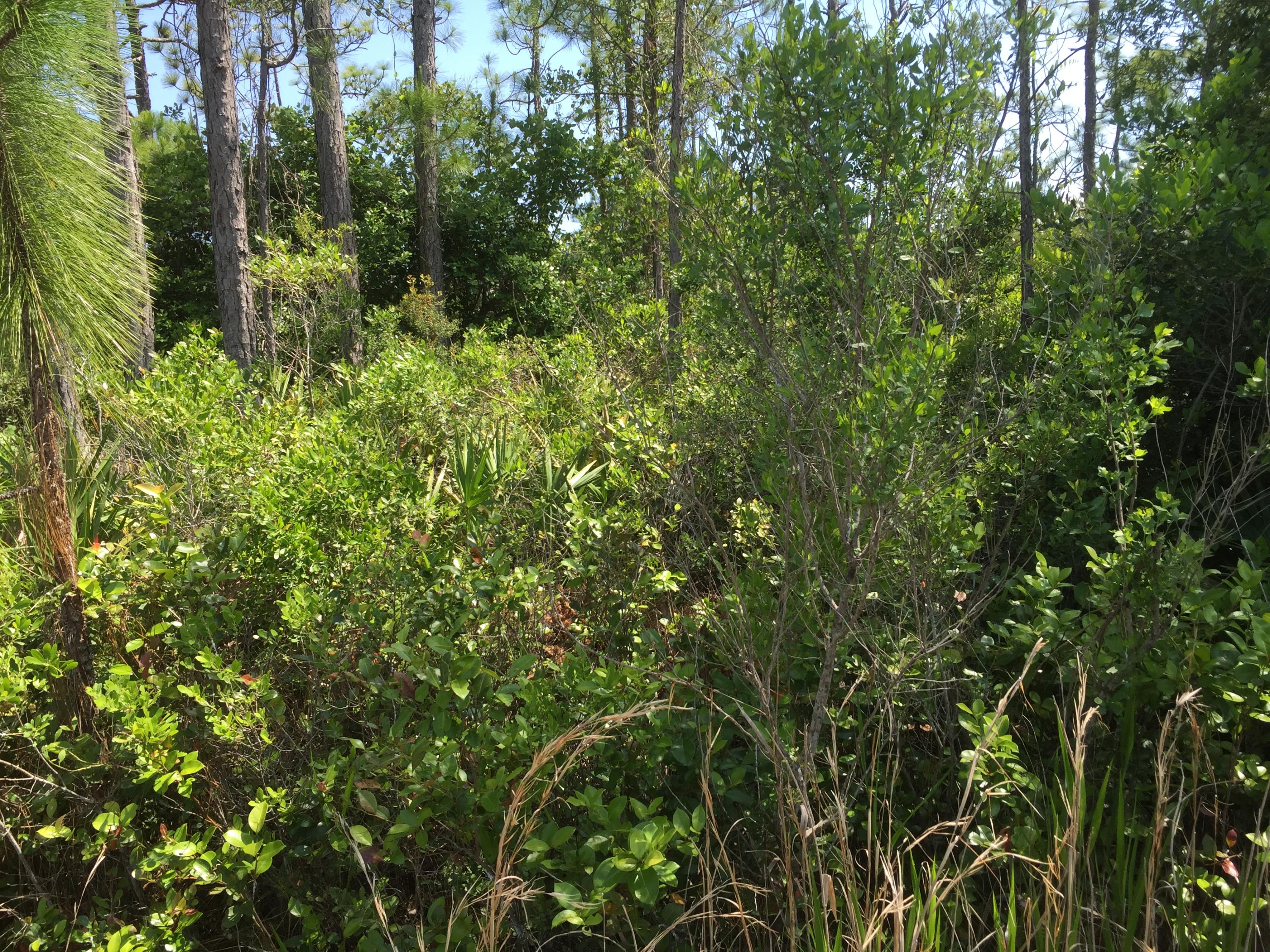 SANTA ROSA PLANTATION - Land