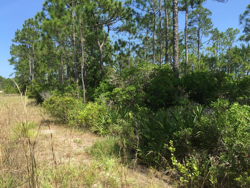 Heaven awaits your peaceful lifestyle when you make your home on this parcel;just north of and bordering Topsail Hill State Preserve, just 200 feet off 30-A. This parcel is zoned Conservation Residential and could have 1 or 2 home-sites. Other uses may be available by requesting a Land Use Amendment. It's just a short 1.5 mile drive or bike ride to all that South Walton has to offer; beaches, world class fishing, gourmet dining, upscale shopping and many outdoor sporting activities.Current county mapping site indicates there are neither Wetlands nor Coastal Dune Lakes restrictions, and theproperty appears to be uplands, level, and moderately wooded. Buyer should do their own assessment and necessary duediligence regarding wetlands, zoning and development potential.