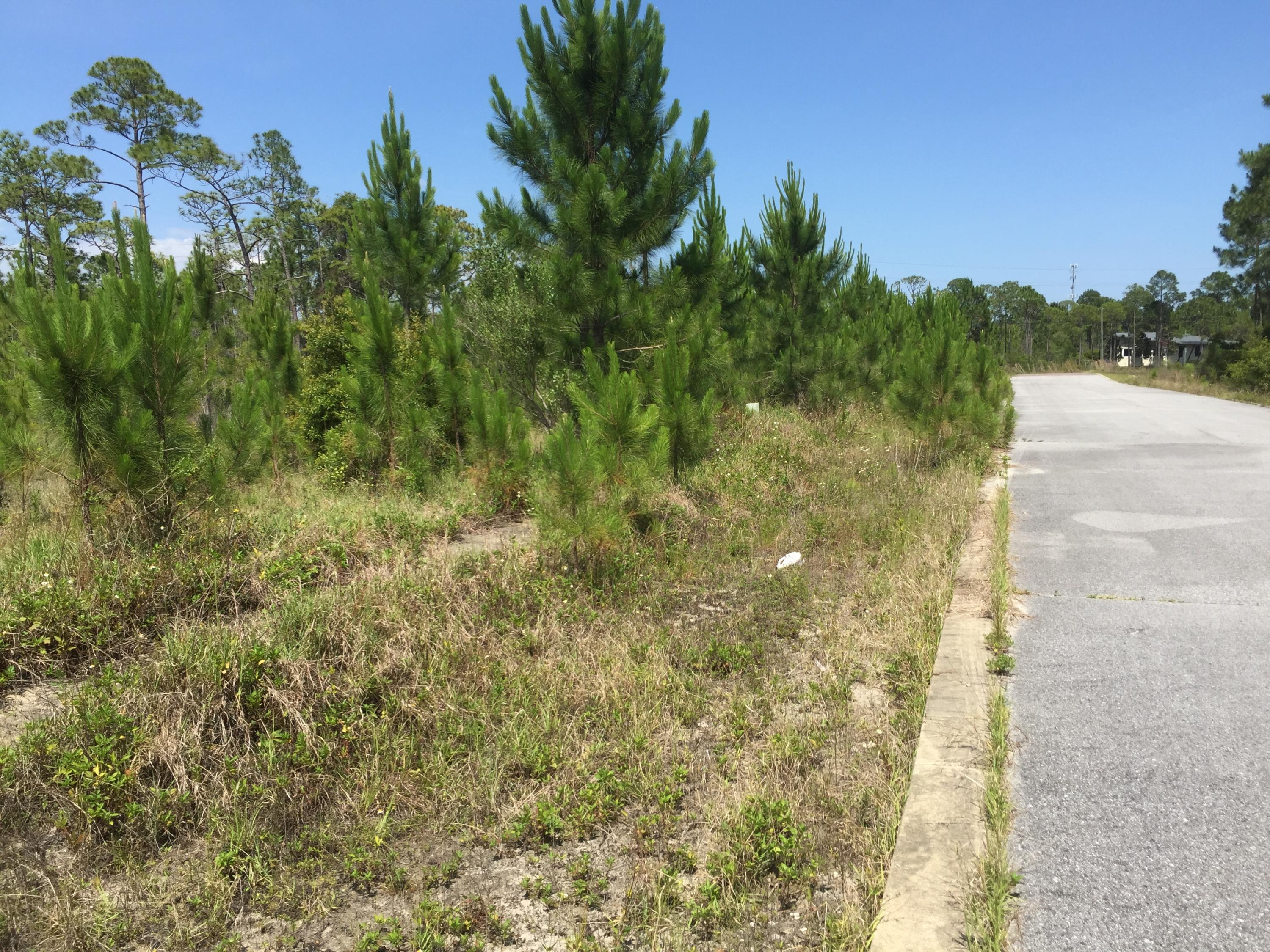 SANTA ROSA PLANTATION - Land