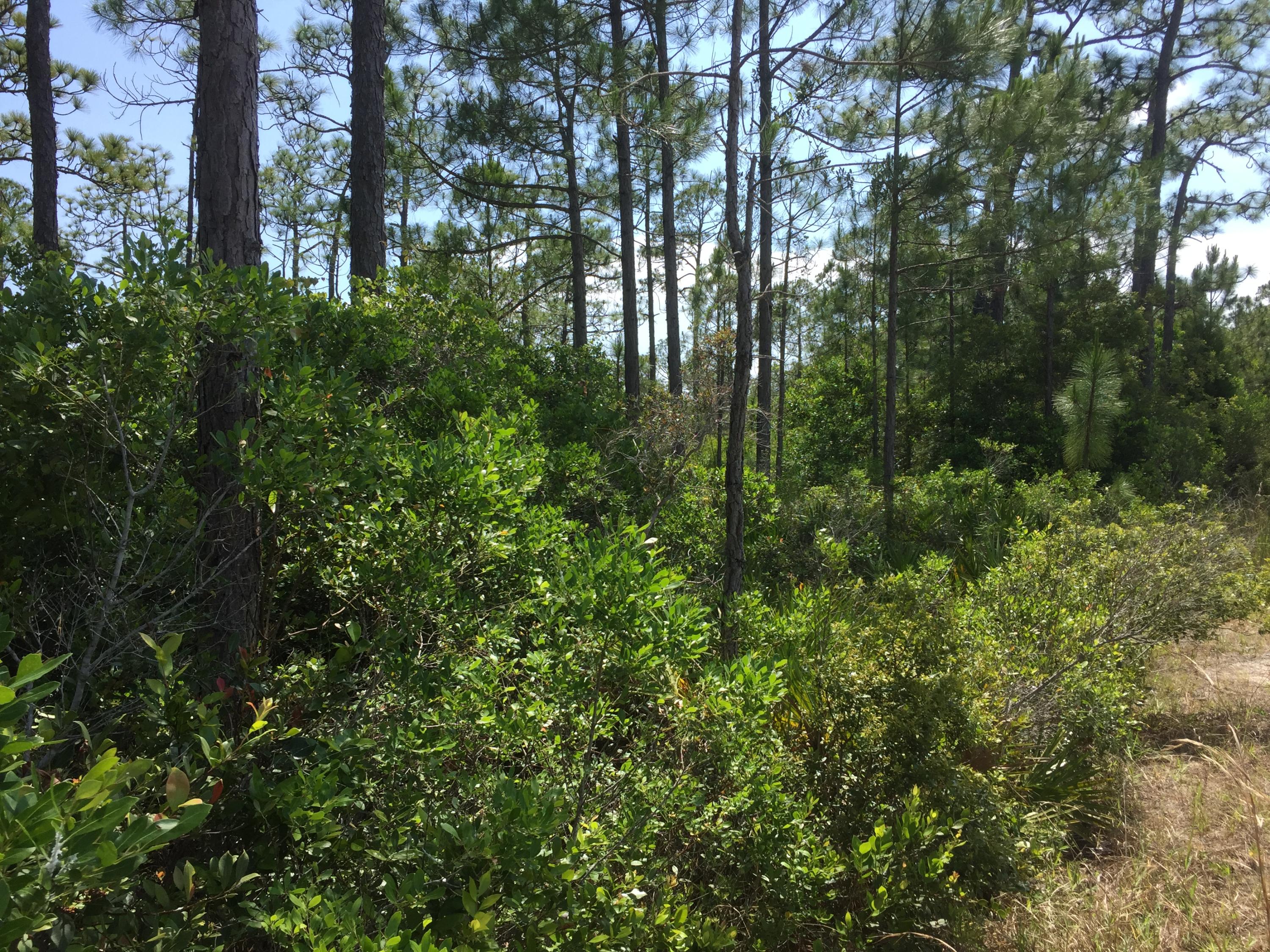 SANTA ROSA PLANTATION - Land