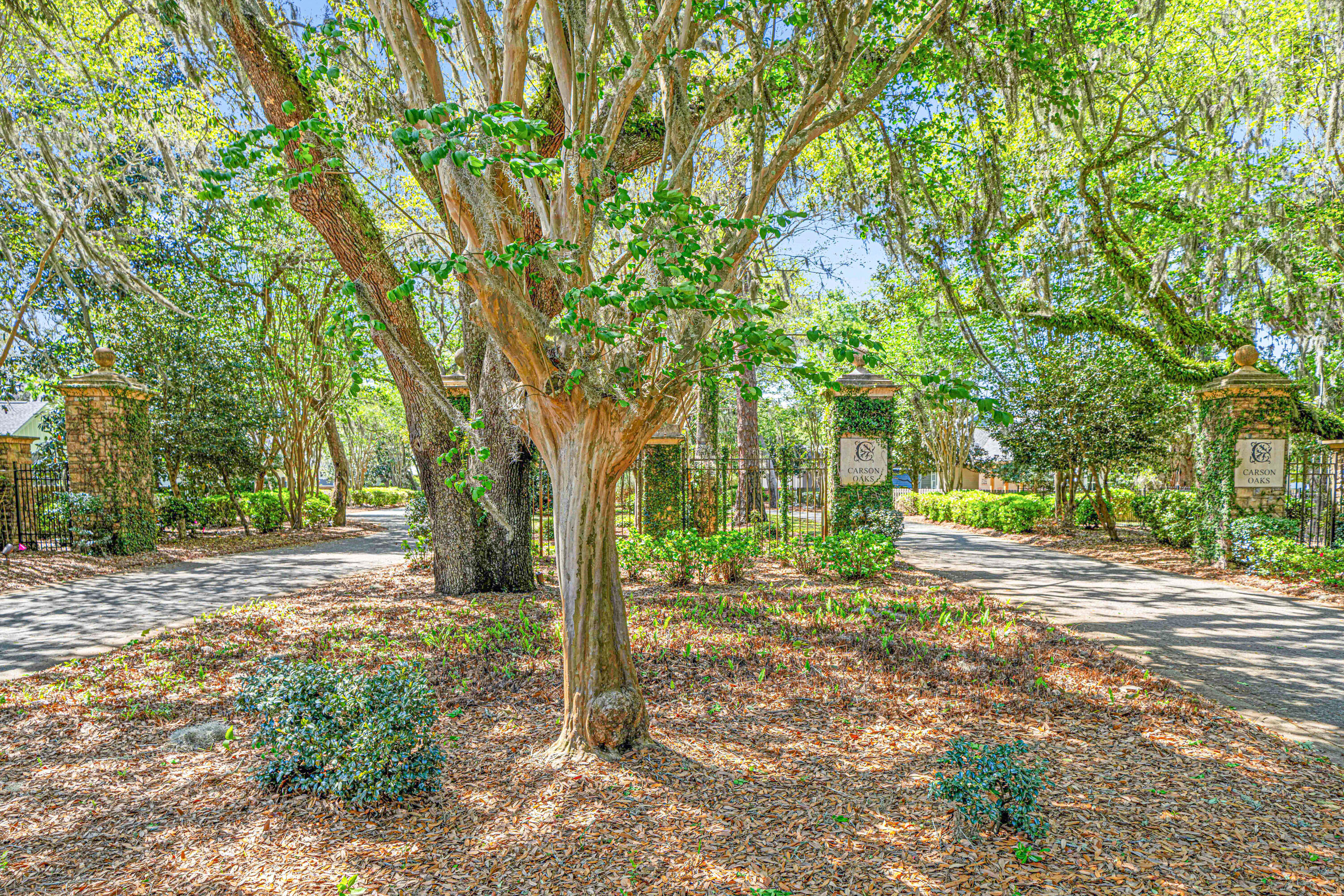 CARSON OAKS - Residential