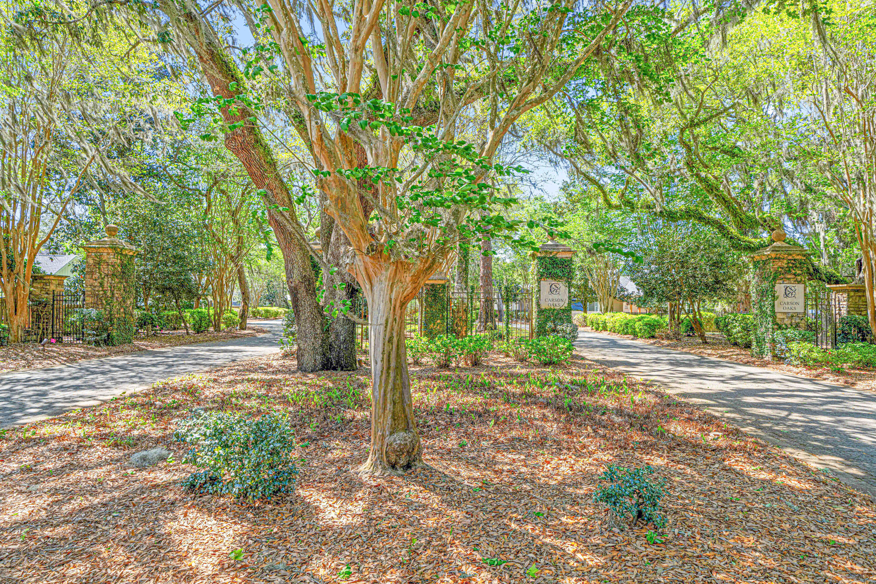 CARSON OAKS - Residential