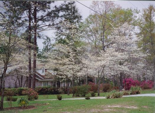 HOLLY HILLS - Residential
