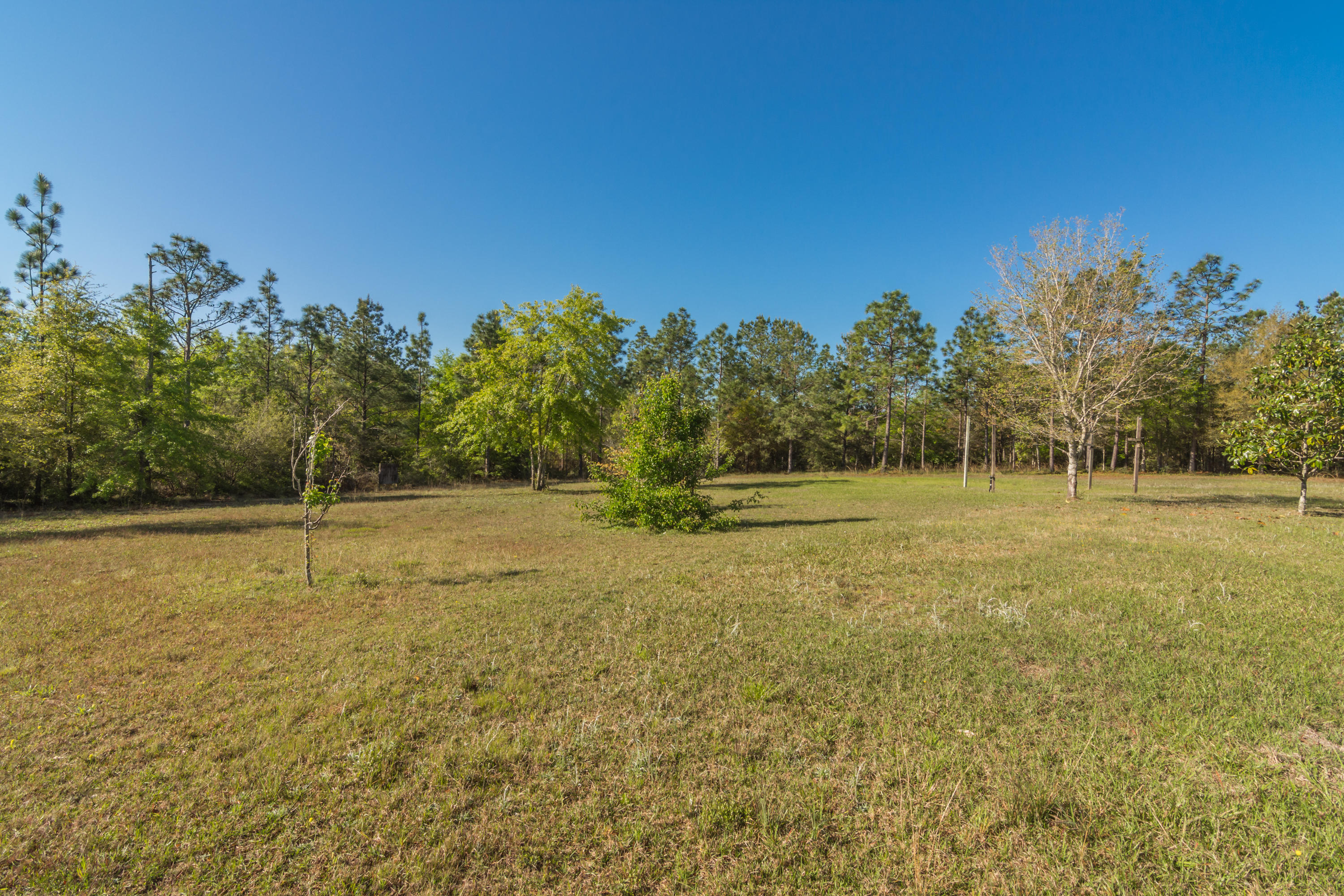 Metes and Bounds - Residential