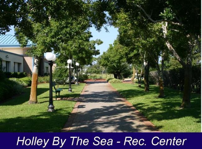 HOLLEY BY THE SEA - Land