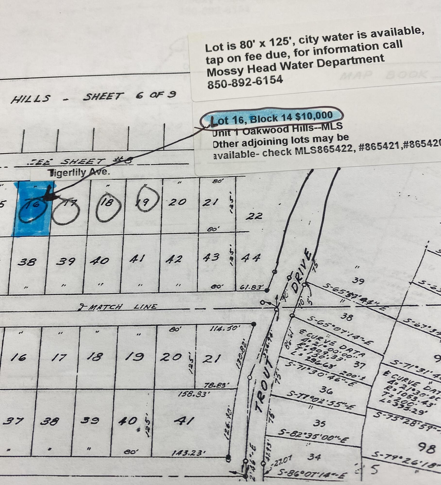 Great location for mobile home or a new home to be built...Near to Eglin AFB, Destin and South Walton Beaches, and I-10 exit, cracked asphalt road just off Trout Road which is paved also. Lot is 80' x 125' and has current survey. Other adjoining lots maybe available check MLS##865422.,#865420,#865421.