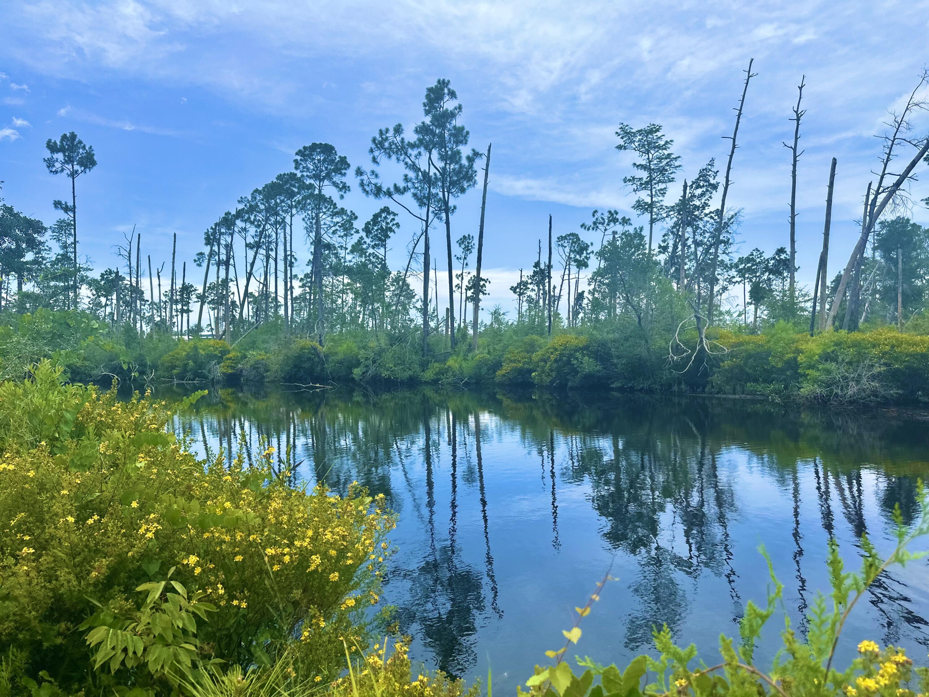 WETAPPO - Residential