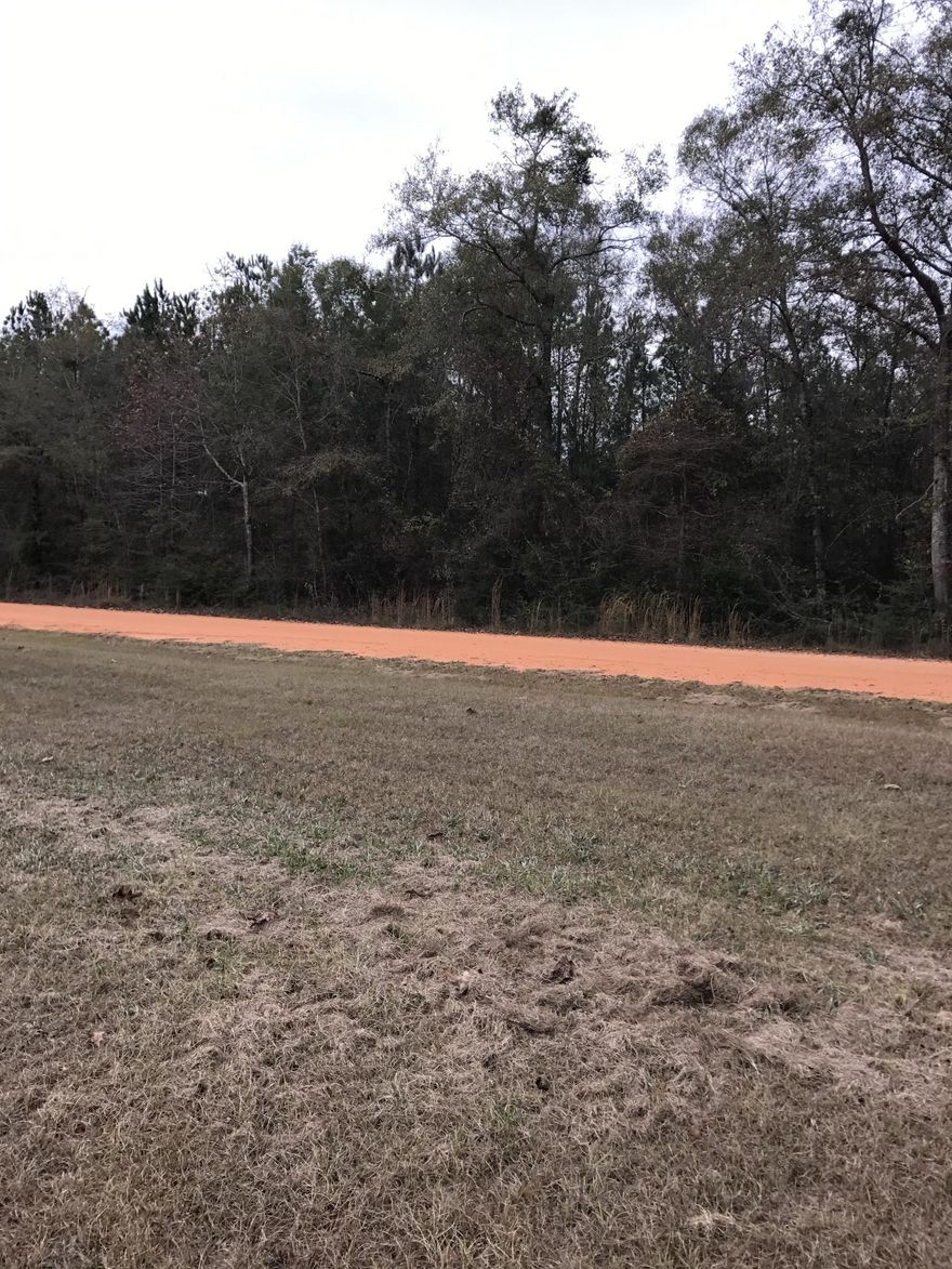 Approximate 11+ acres, heavily wooded, fronting both James Peaden Road and Hwy. 2. Property borders Blackwater River State Forest on east property line. Exact acreage and new legal description to be determined by new survey, as this parcel was part of a larger 22+ acre parcel.