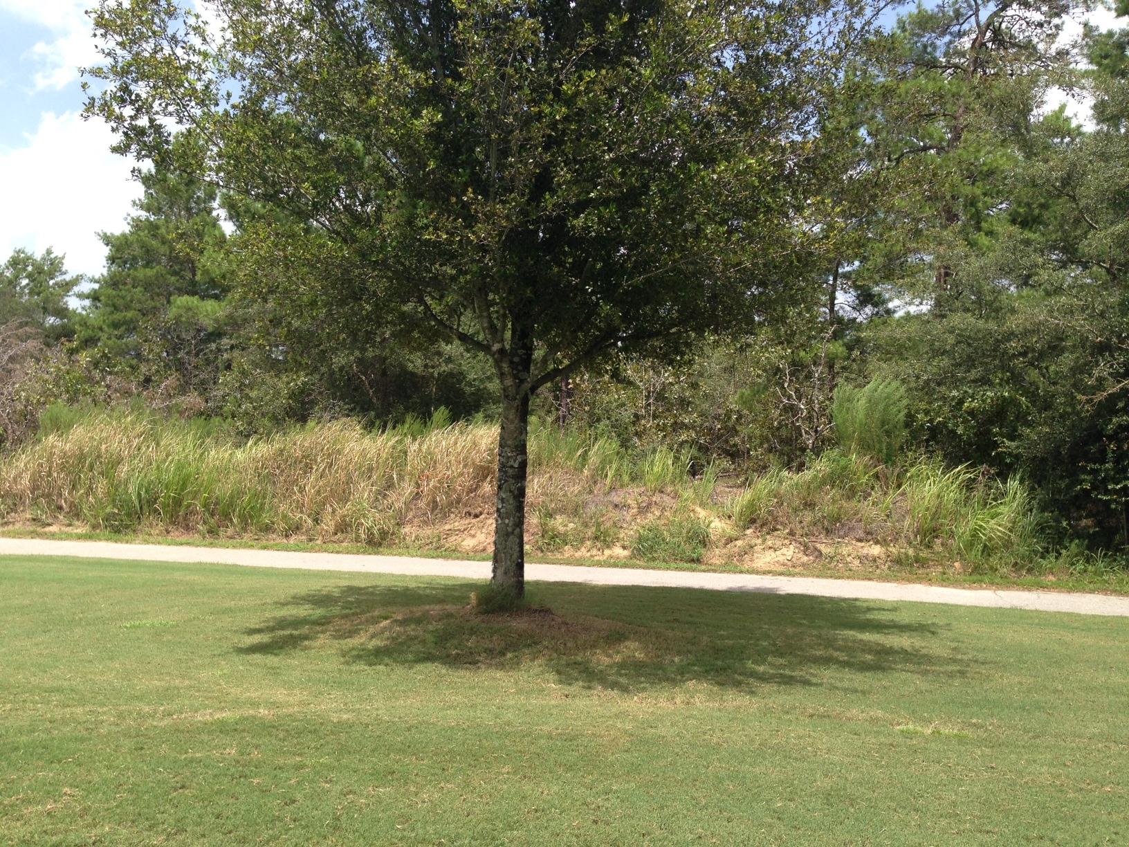 WINDSWEPT ESTATES - Land