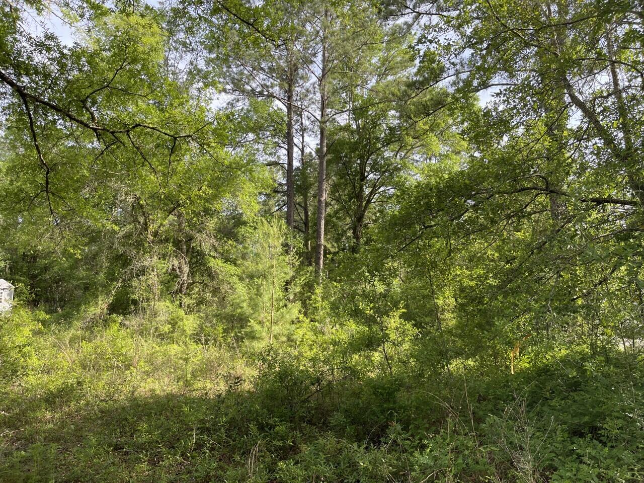Grande Oaks - Land