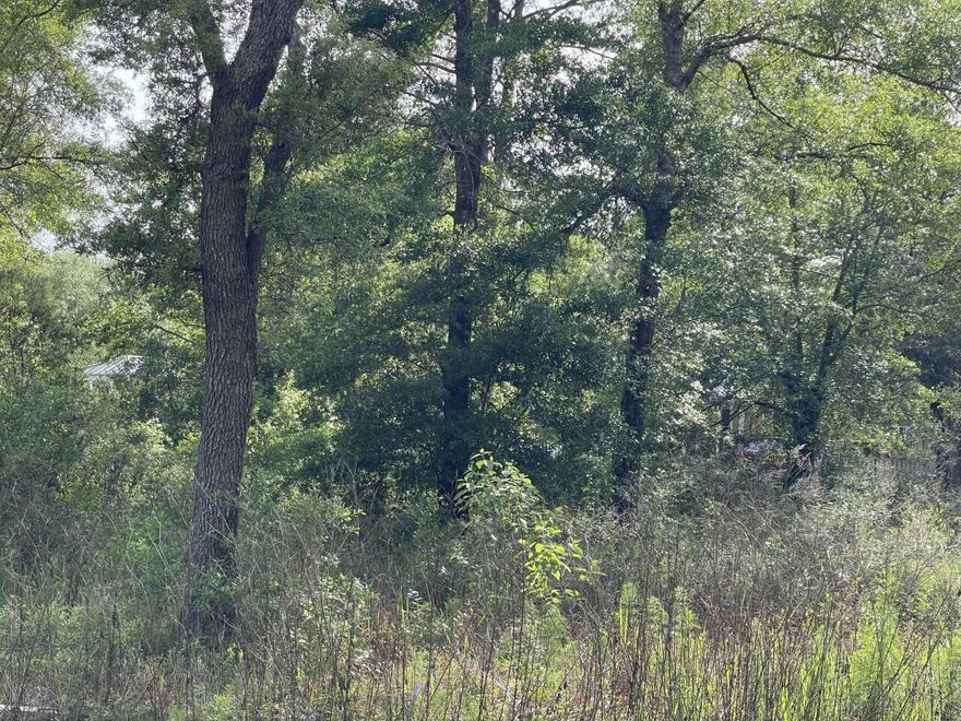 Looking to build a home?  Here is a beautifully wooded with large oaks is located in the heart of Freeport. Great fishing on Four Mile Creek, or cruising onto the Choctawhatchee Bay or spending the day on Florida's White Sandy beaches. This amazing property is centrally located between Fort Walton Beach and Panama City Beach offering so much in the way of fun in the sun, tourism activities and Destin's World-Famous Crab Island all within a short 30-45 min drive. This serene  community only allows for single family homes and has minimal restrictions. High-dry lot (Flood Zone X.) is ready to build your dream home. No mobile homes allowed. All tap fees are paid for city water & sewer, making this lot much more desirable and ready to build. HOA is currently being reestablished with low monthly assessment and new buyer fee.  The HOA is still evolving so details will be forthcoming.  The HOA is being established so there are funds to bring the community up to City of Freeport minimum standards to allow construction and maintain the roads, sidewalks, etc. 