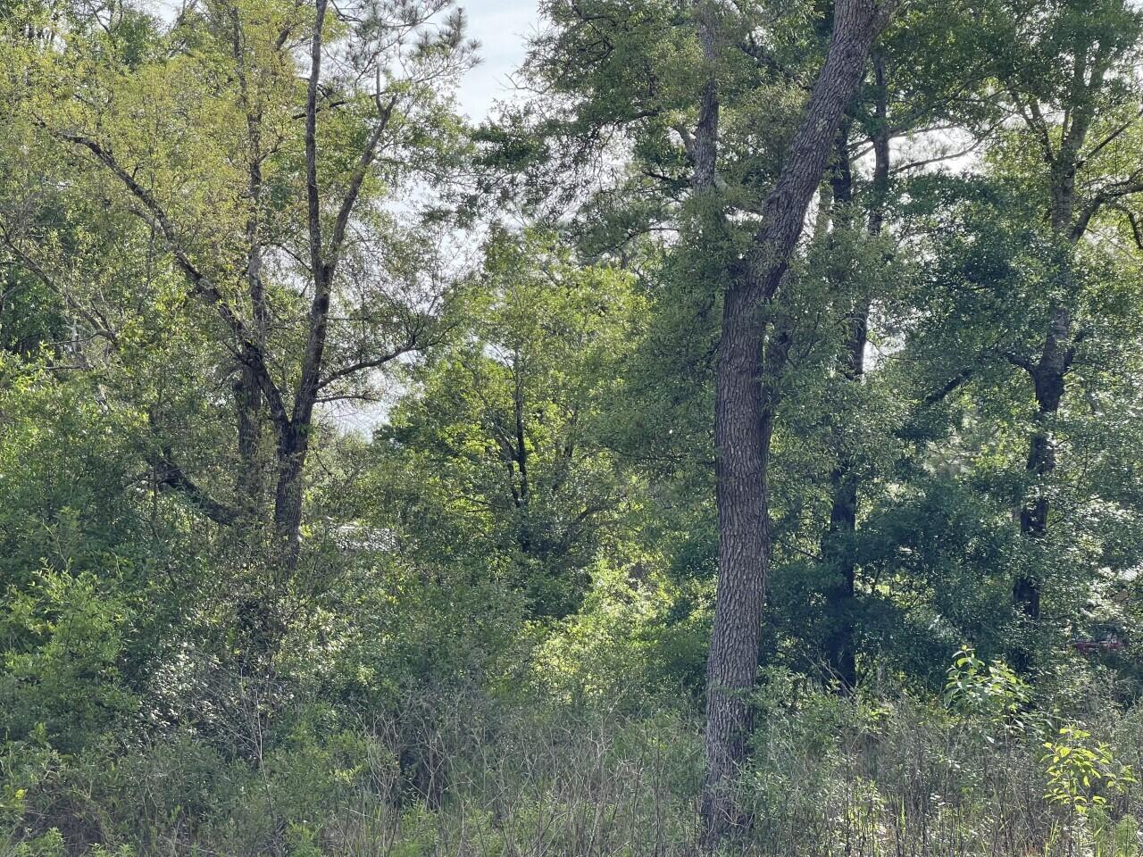 Grande Oaks - Land