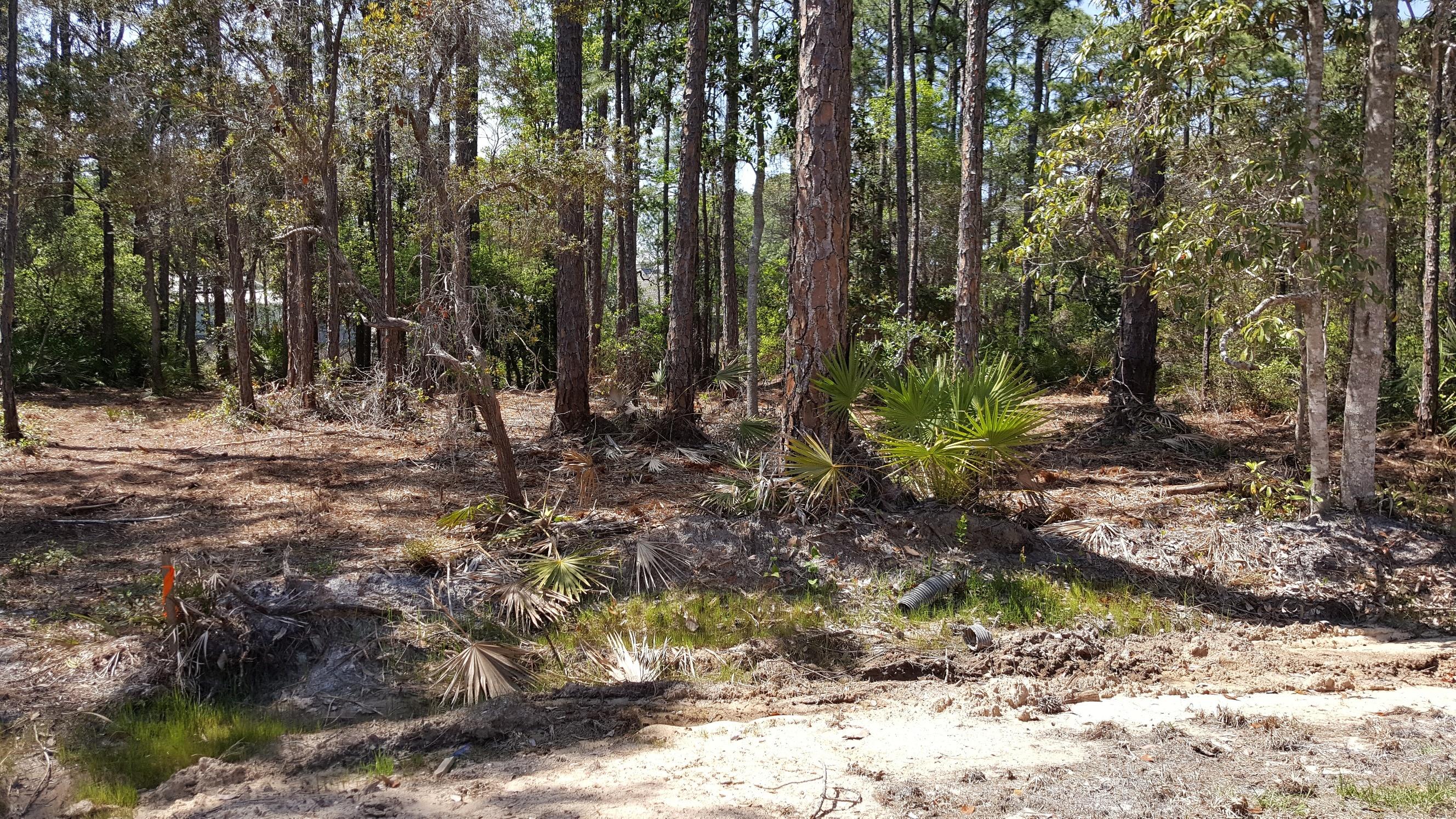 Mack Bayou Park - Land