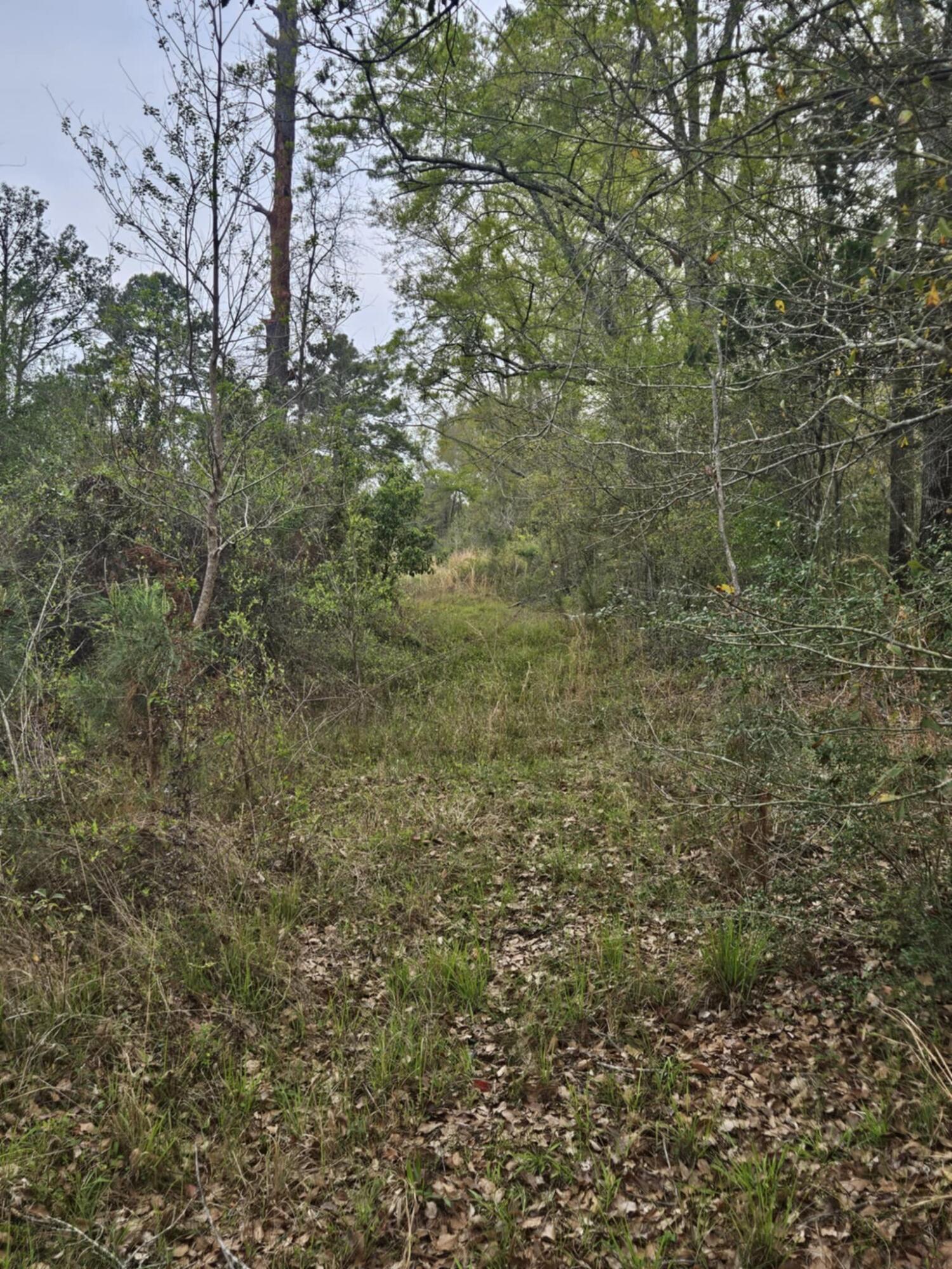 1400 Grant Road Road