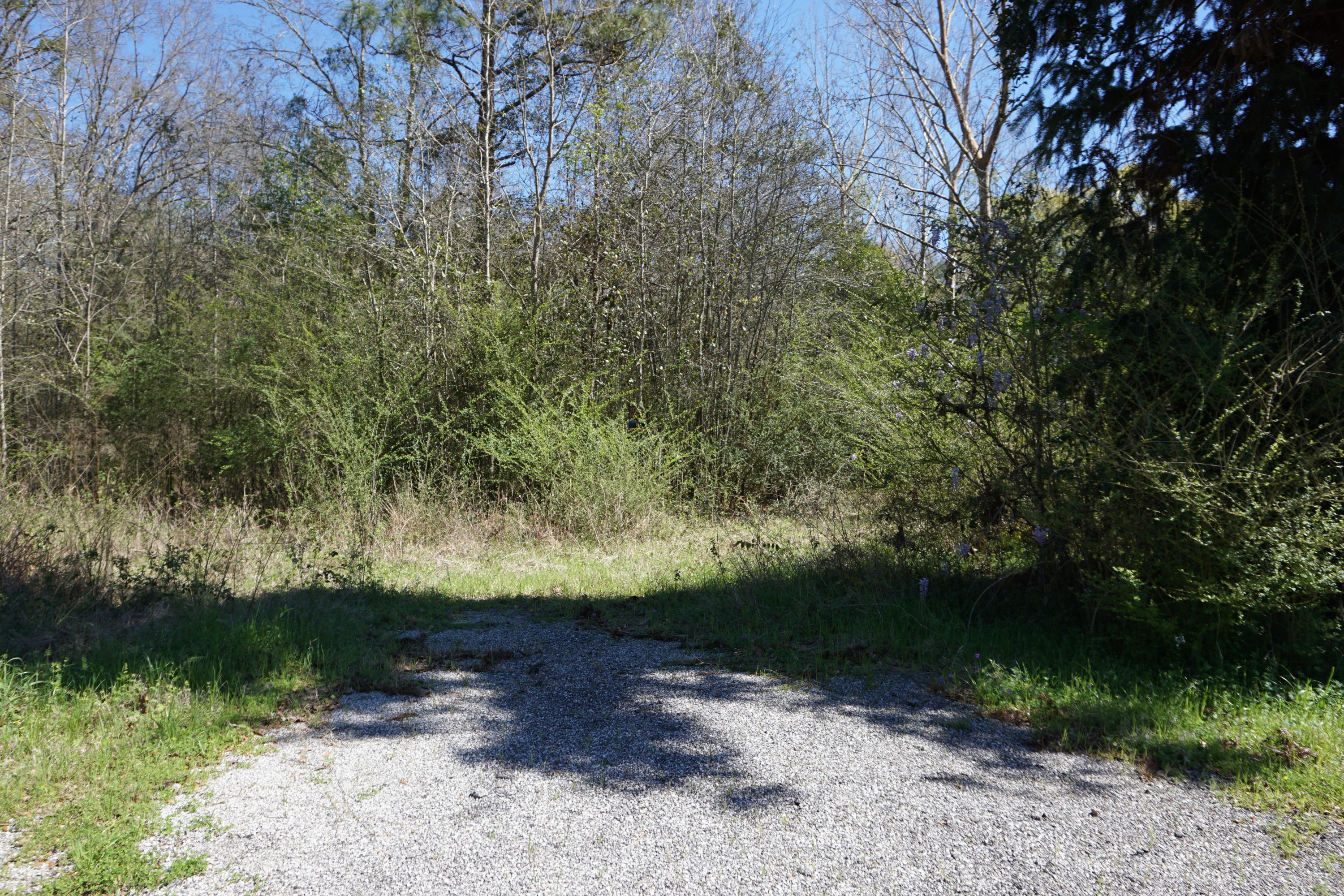 METES & BOUNDS - Land