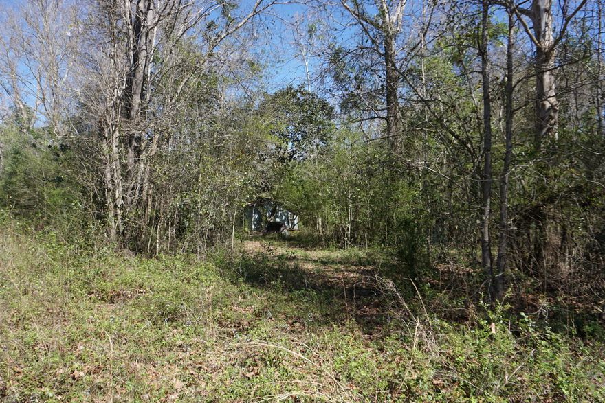 Great country property in Gaskin 4.35 acres located at the state line of Alabama and Florida with 3 septic tanks and 1 well. This property has a 2000 square foot home with 2 bedrooms and 1 bathroom. Home is in disarray but it could be brought back to life with the right buyer. COME! SEE! Place your OFFER!