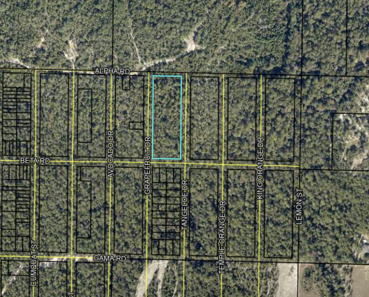 Get in early as the city and county properties expand out to this area! Nice remote living! Flat level usable acreage! Build your dream! Now is the right time to invest! County roadways area there but roads are not cleared to property. Small pine trees cover whole property and access roads. No water or power to lot. Buyer's to make their own inquiries to county and authorities regarding development
