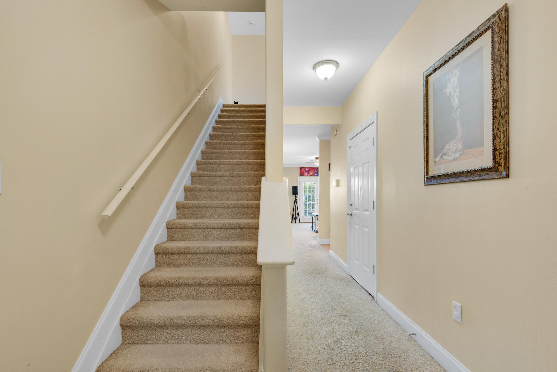 OLD BAY T/H - Residential