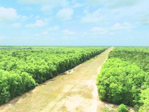 7.97 ACRES LAKE ELLA RD Road Crestview FL 32539