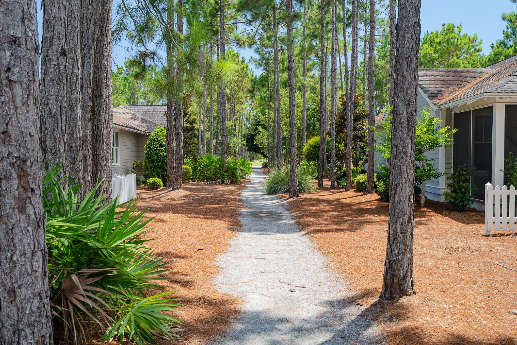 Naturewalk at Watersound Origins - Residential