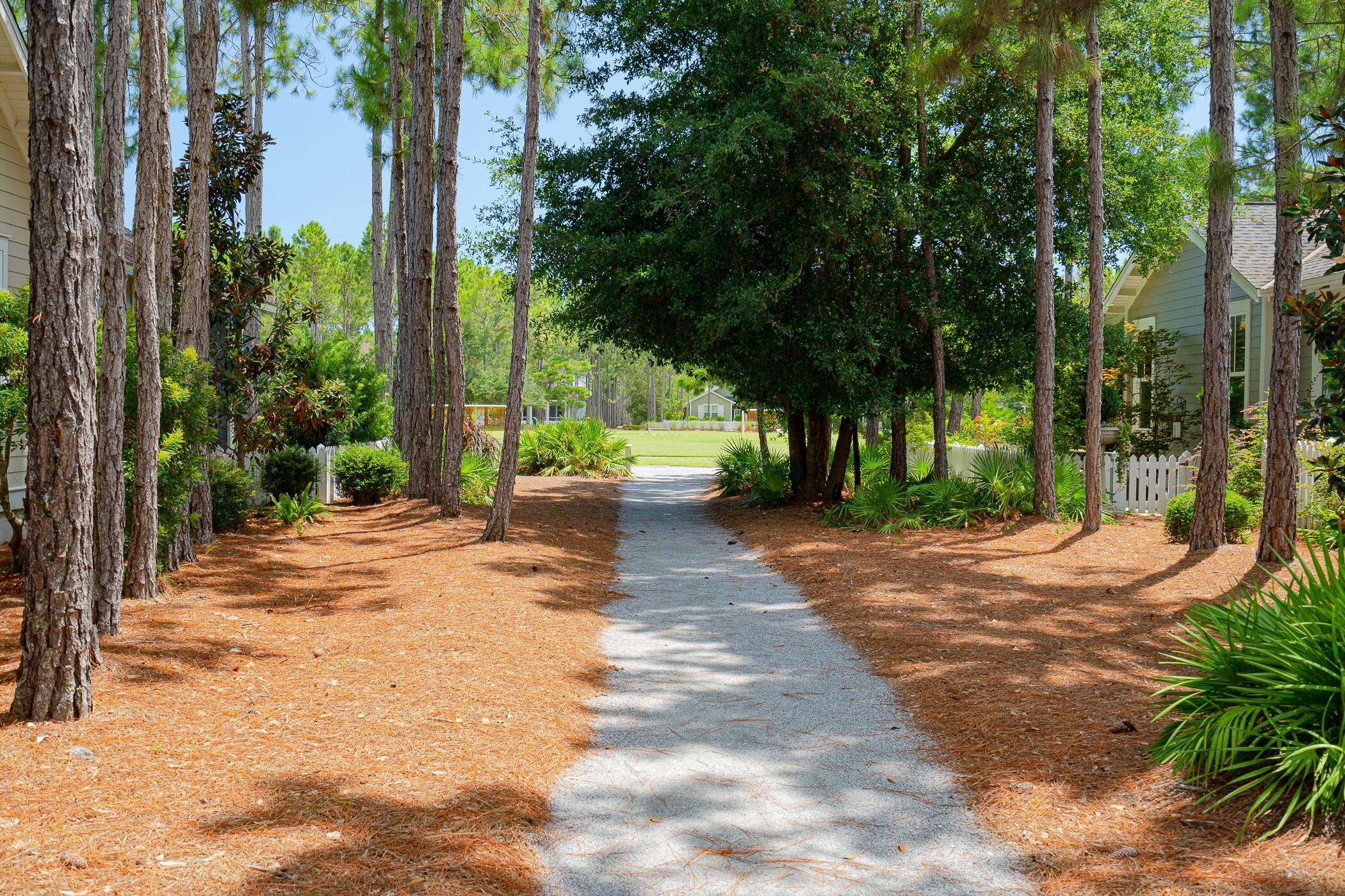 Naturewalk at Watersound Origins - Residential