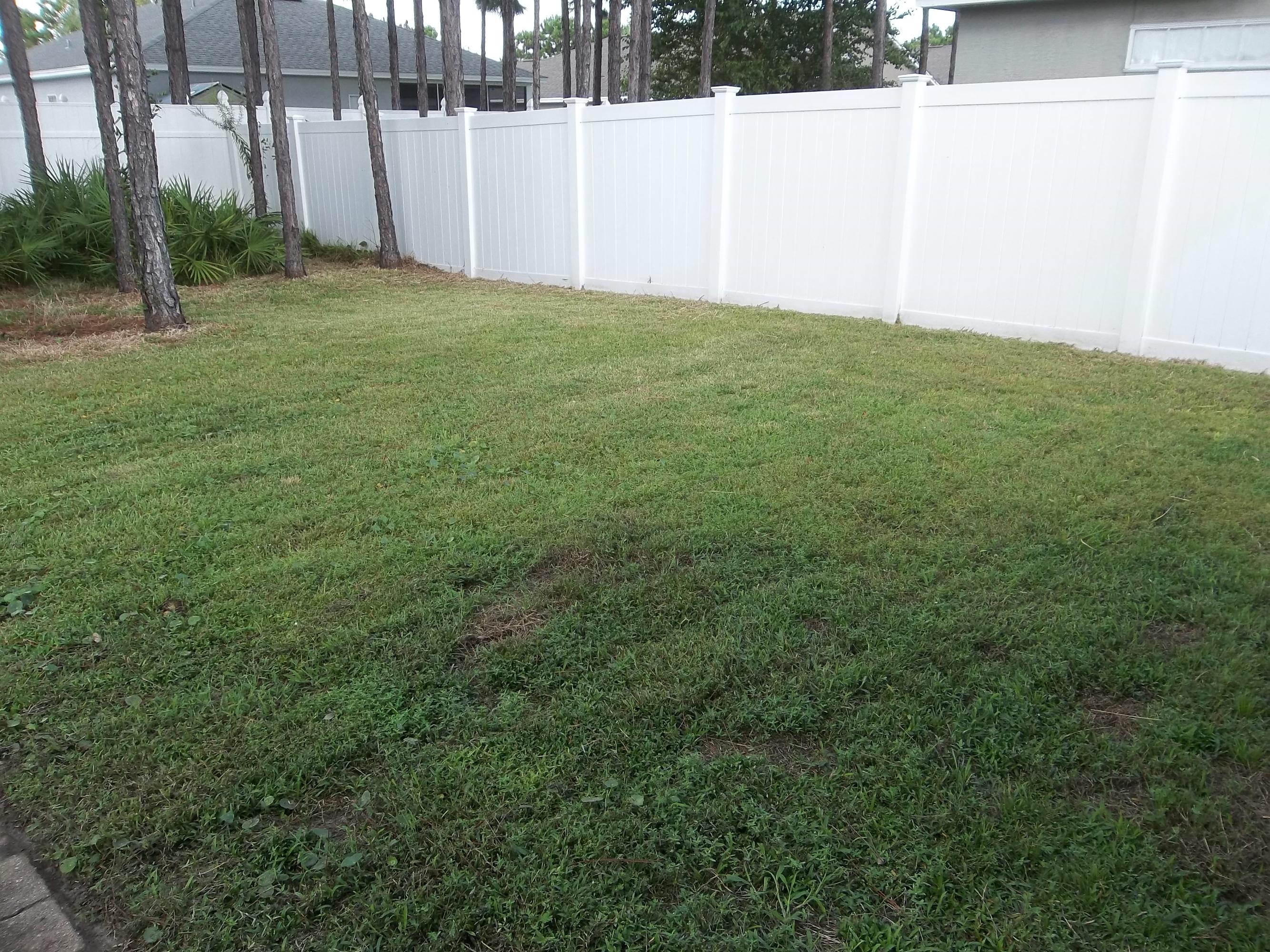 Palmetto Trace - Residential