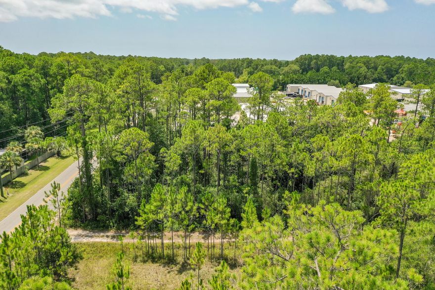 Have You Been Looking For The Perfect Homesite In Santa Rosa Beach To Build Your New Home?  Well, Look No Further!  This 0.30 Acre Corner Lot Is Located In The Highly Sought After Santa Rosa Beach & Has NO HOA!  Coveniently Located Just Minutes Away From All Of 30a's Finest Shopping, Dining, Entertainment & Just Minutes From The Beach. Call Today & Make Arrangements To See For Yourself All That This Amazing Homesite Has To Offer!  As Always, Buyer To Verify All Information Deemed Important.
