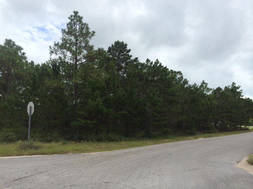 Nice and high and dry 3 building lots in one parcel. Seller may consider selling separately for $42K each. No tap fees paid. Buyer to verify all info.
