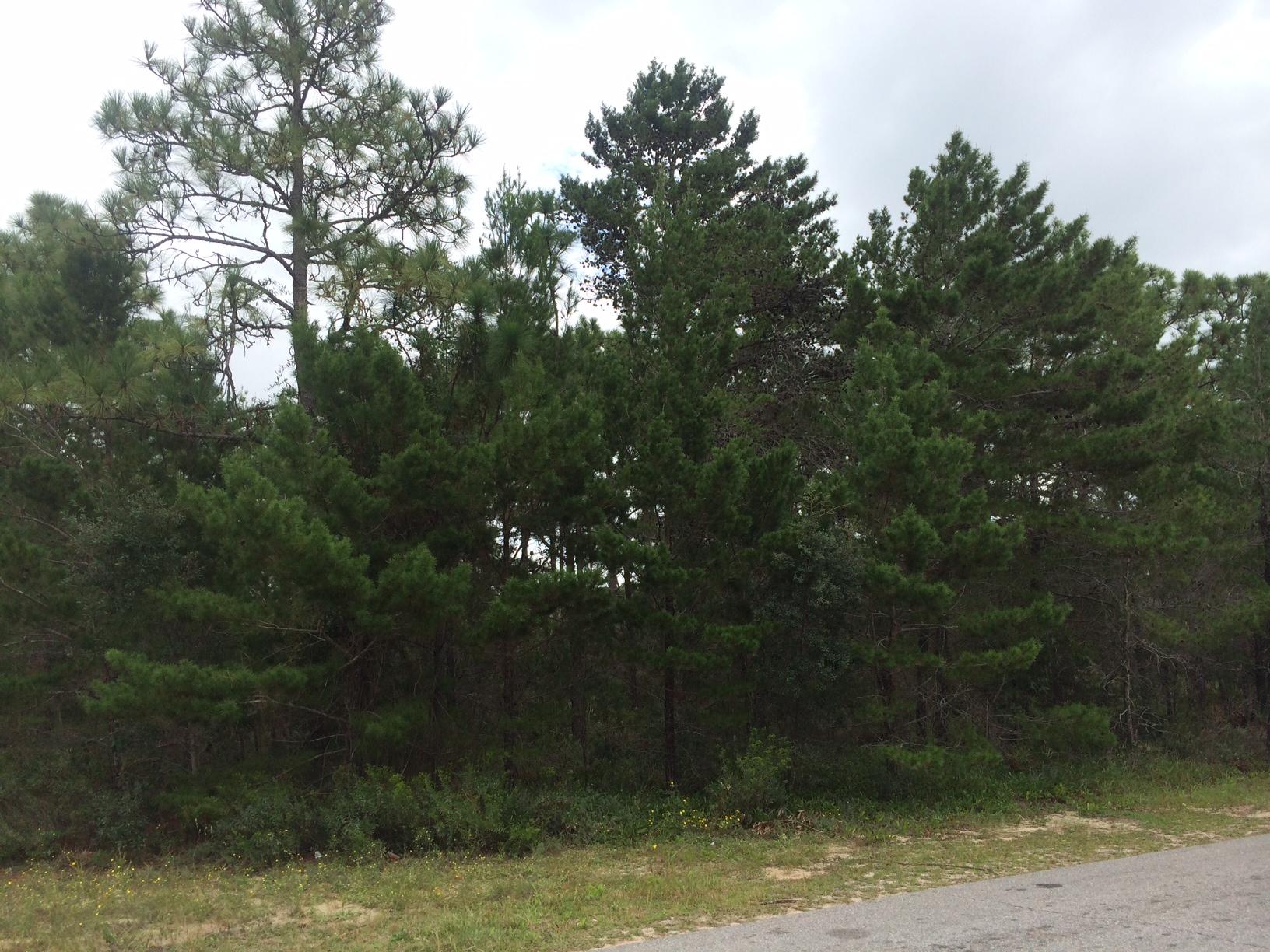 NAVARRE LOTS 2 4 & 6 BLK 43 - Land