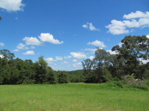 Back on market at no fault of seller! LARGE ACREAGE ALERT! You asked for it, here it is! Don't miss out on this beautiful 20 acre wooded parcel in North Walton County! Property has about 3 acres cleared on the front of the property that would make the perfect homesite! The parcel is loaded with big hardwoods and pines. Lots of wildlife. Big deer country. Call for your tour today!