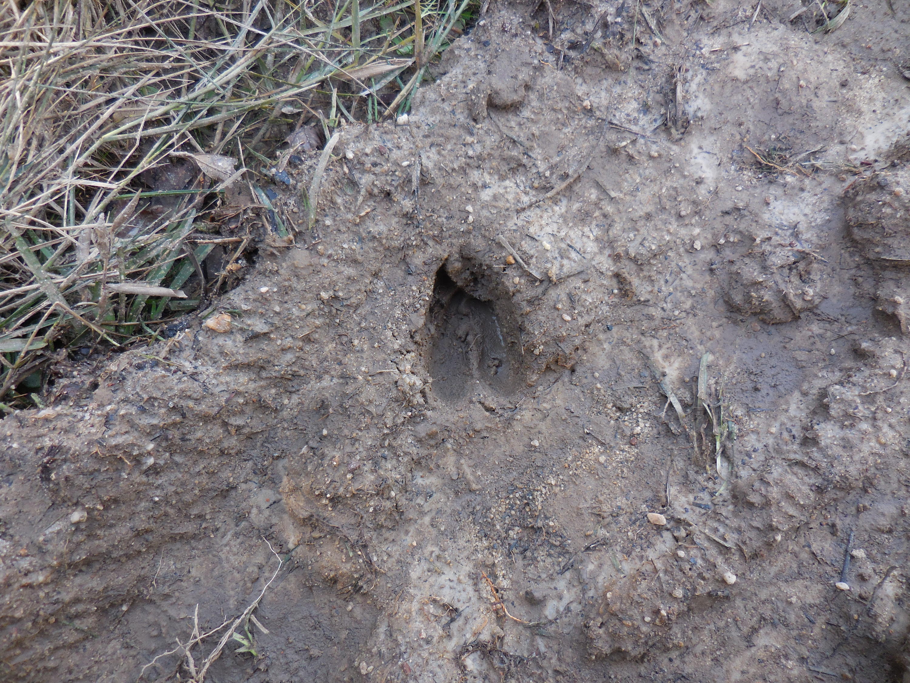 meets and bounds - Residential