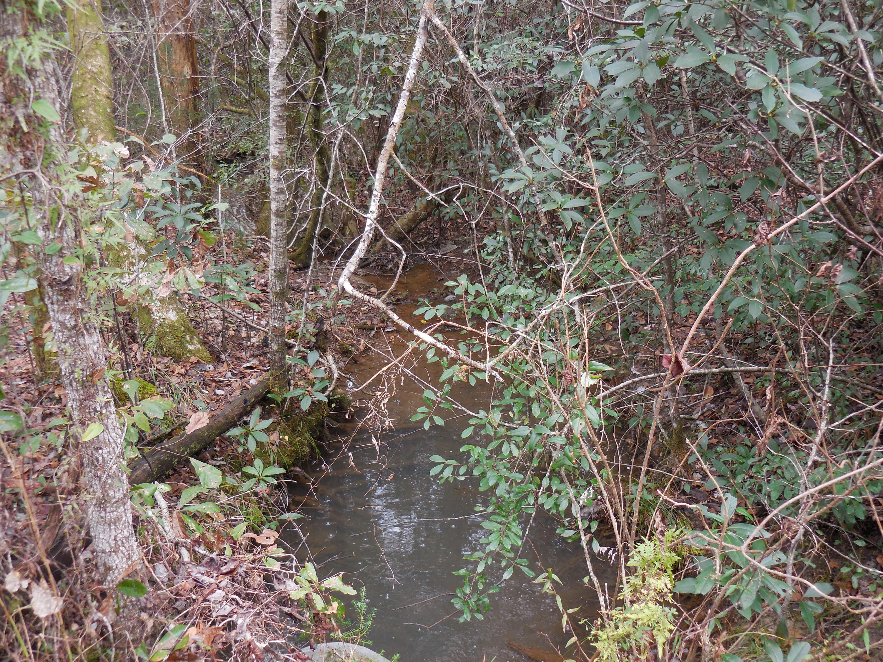 meets and bounds - Residential