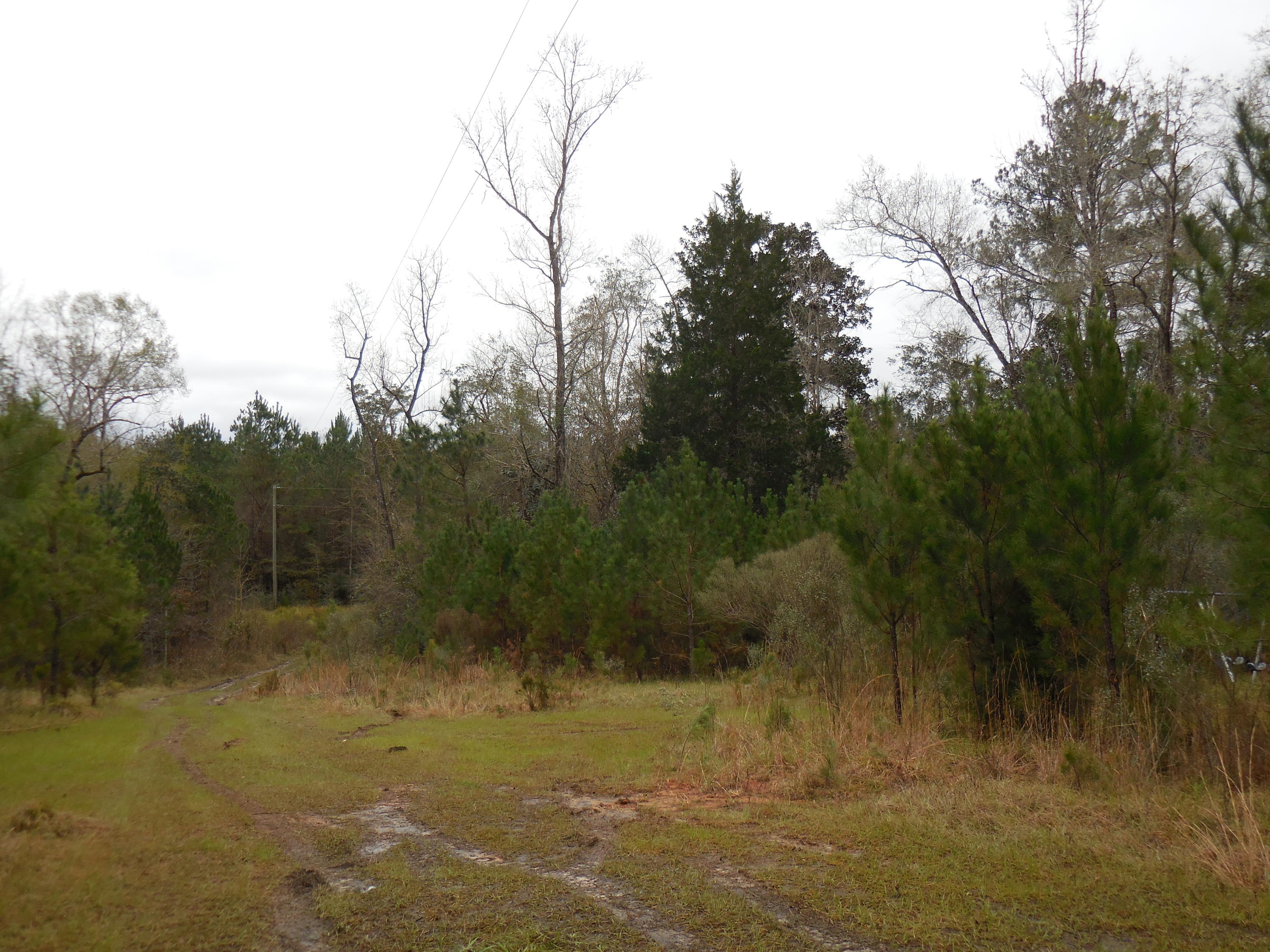 meets and bounds - Residential