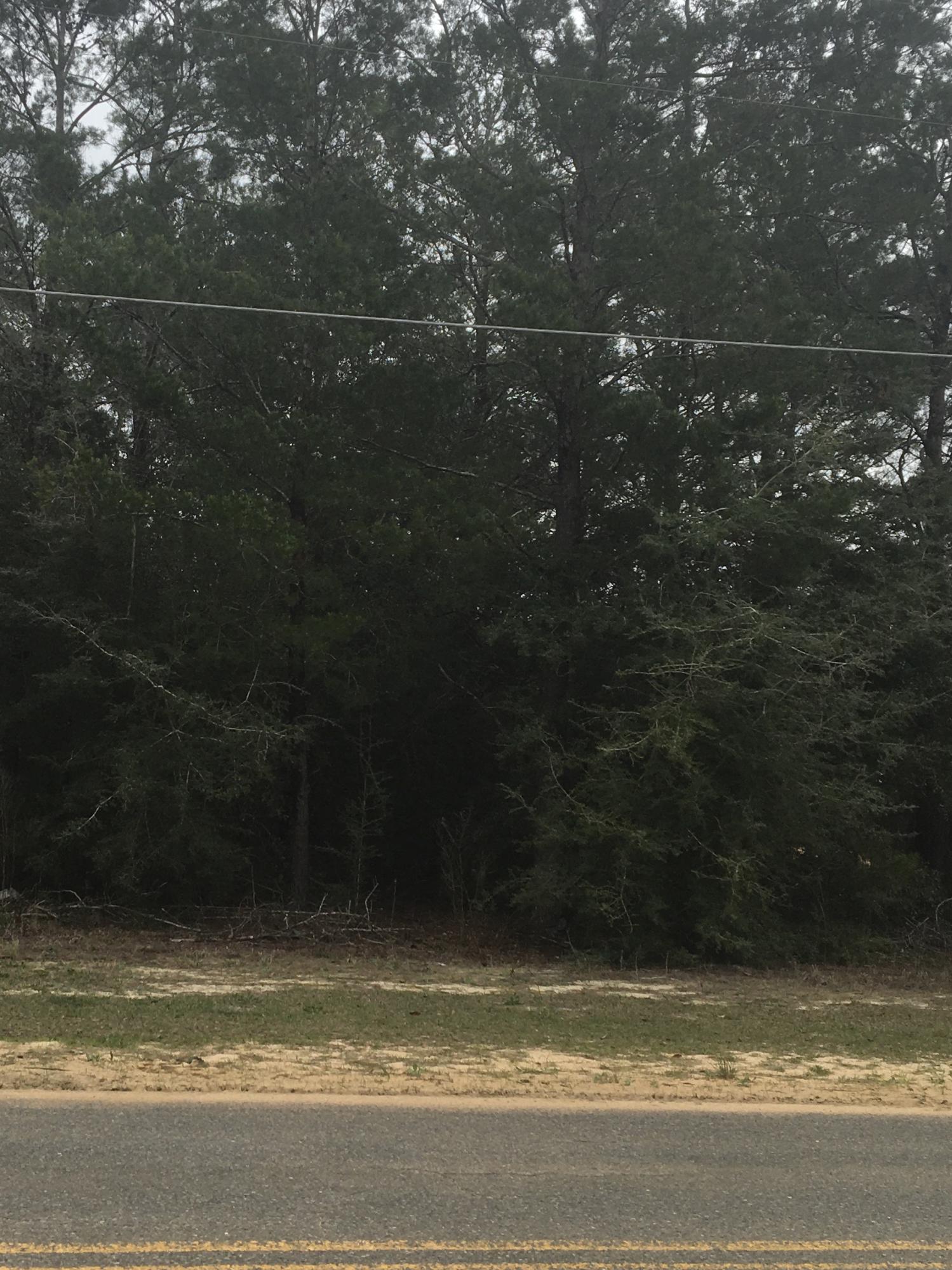 A beautiful lot on the paved road perfect for your new home.