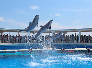 NAUTILUS CONDO - Residential