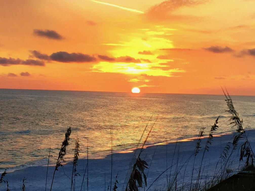 SUMMER RIDGE - Residential