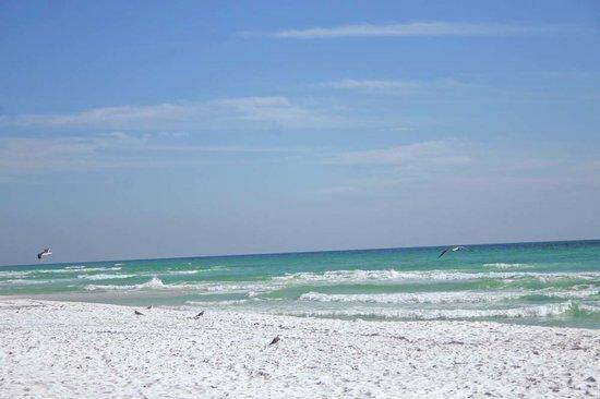 POINTE OF VIEW CONDO - Residential