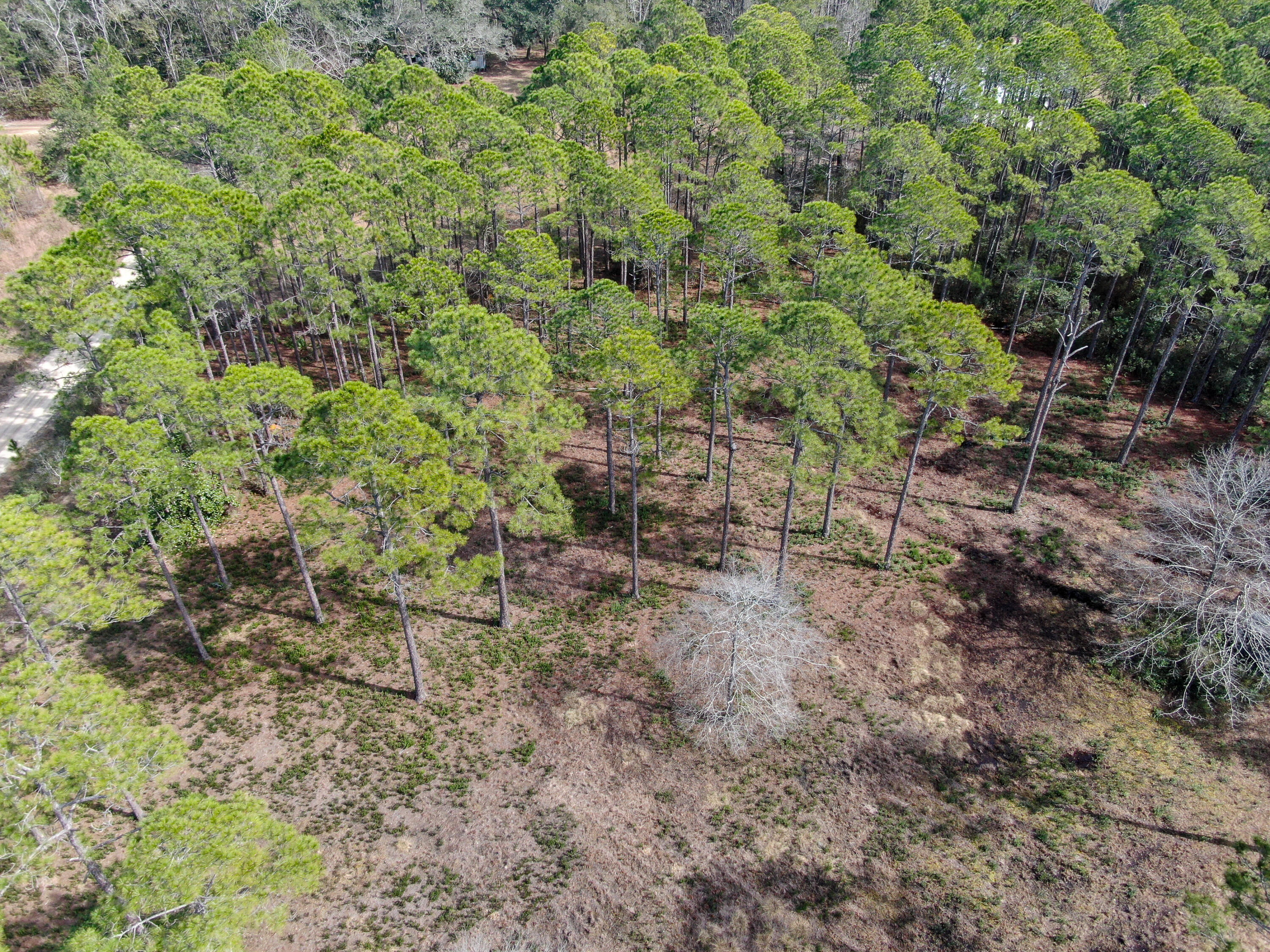 METES & BOUNDS - Land