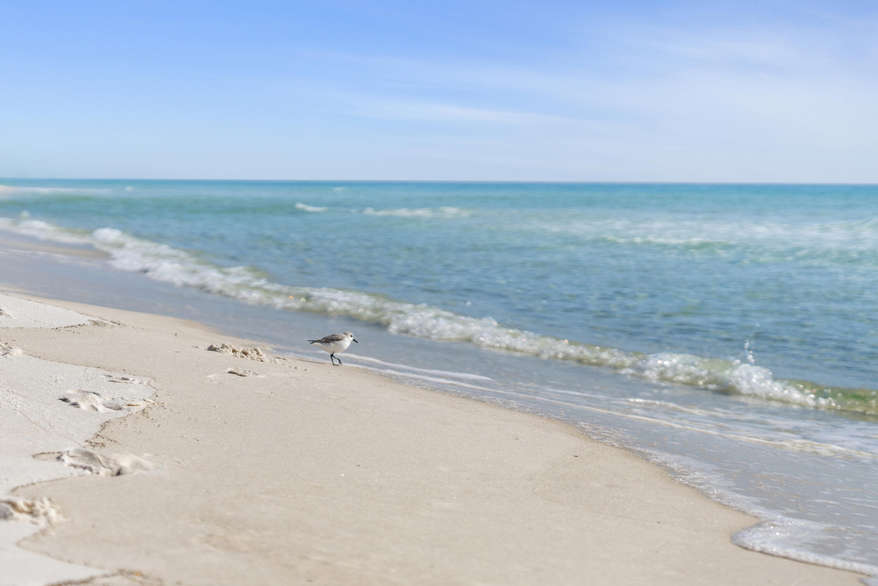 BEACHSIDE VILLAS CONDO - Residential