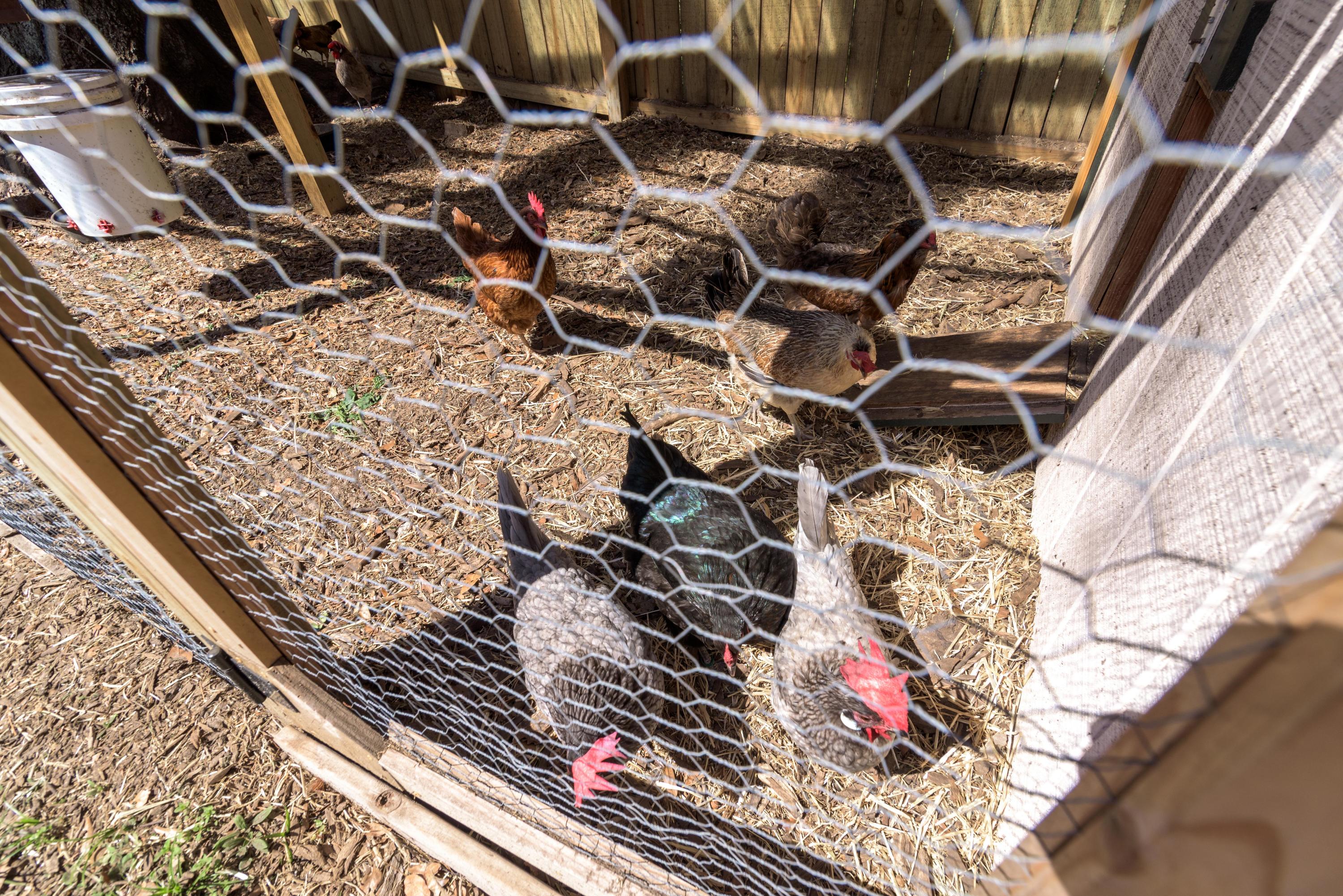 LAKEVIEW - Residential