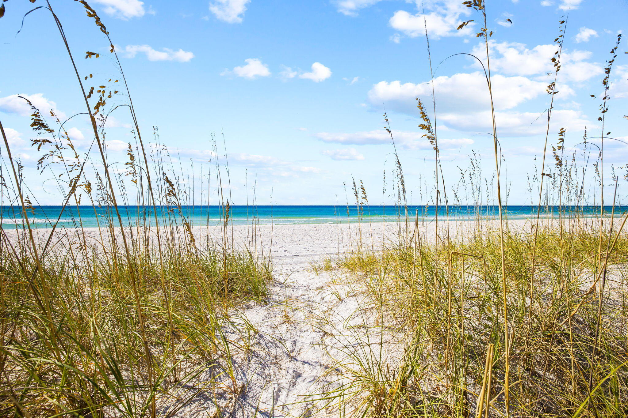 INLET BEACH - Residential