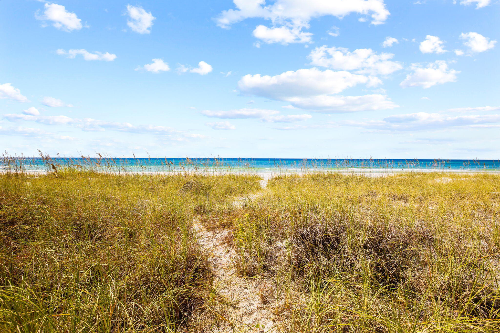 INLET BEACH - Residential