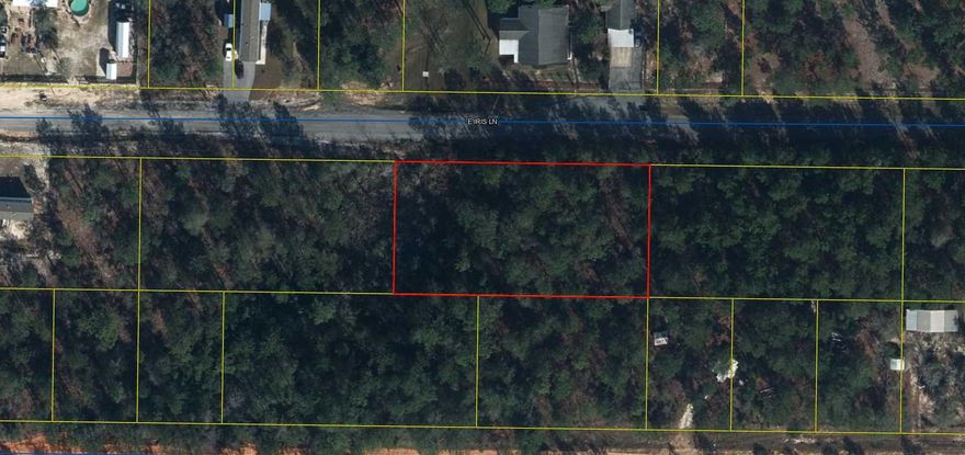3 great lots in Mossy Head ready for your new home.  Mossy Head is a growing community and parcel in centrally located to  local attractions.  Blackstone Golf Course is just down the road !  Property will require septic and tap fee is due.   No Survey on File.