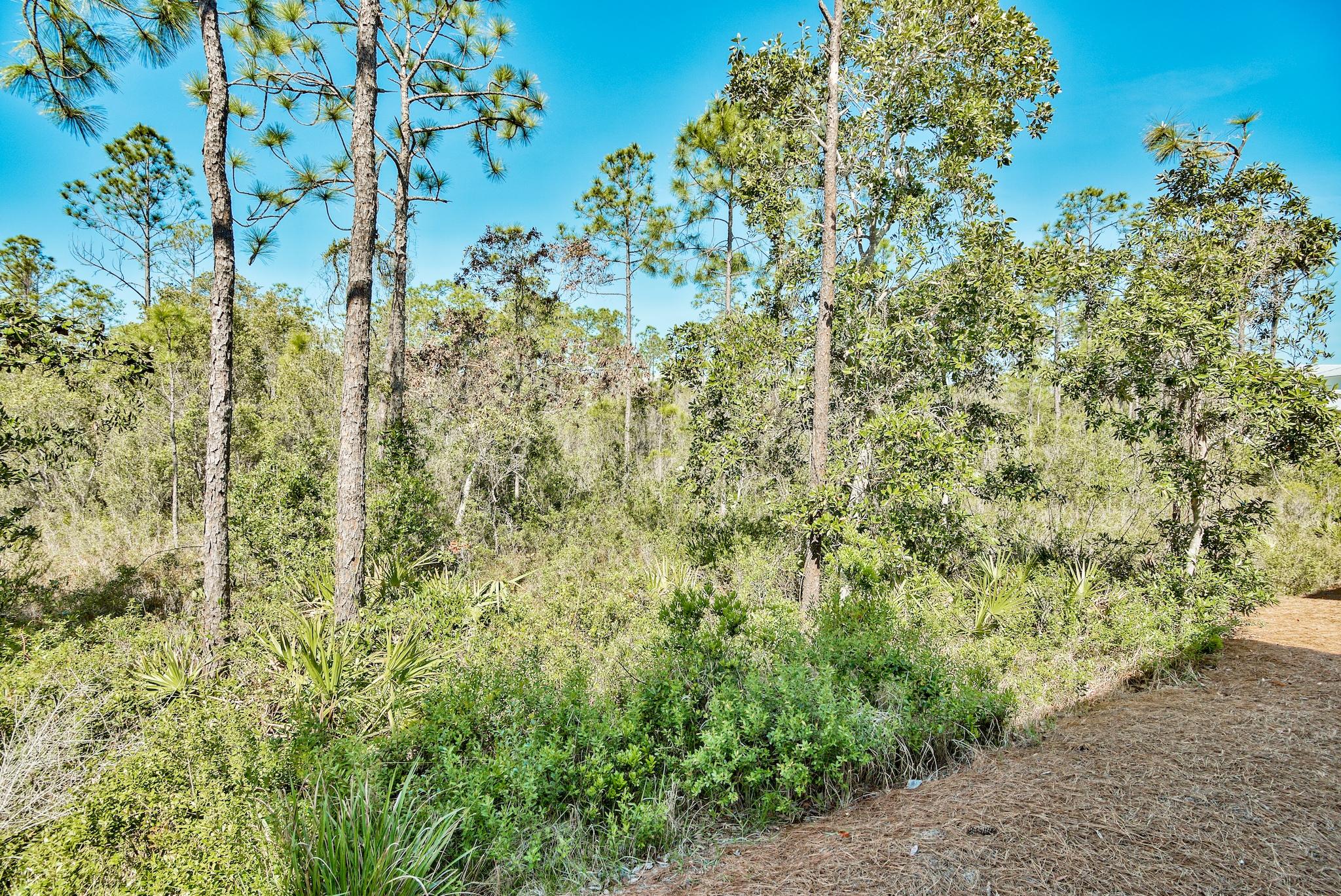 NATUREWALK AT SEAGROVE - Residential