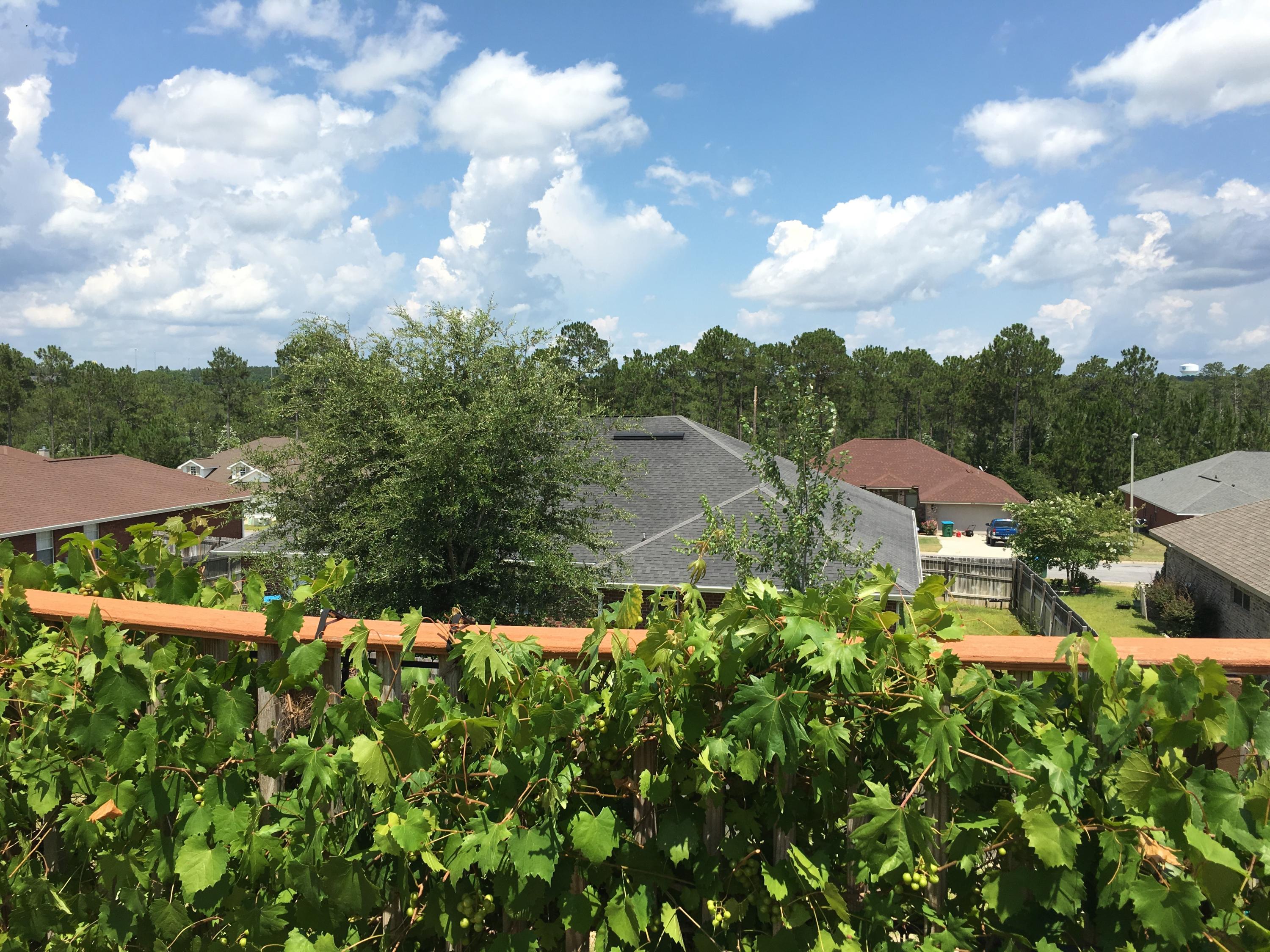 ALICIA PLACE - Residential