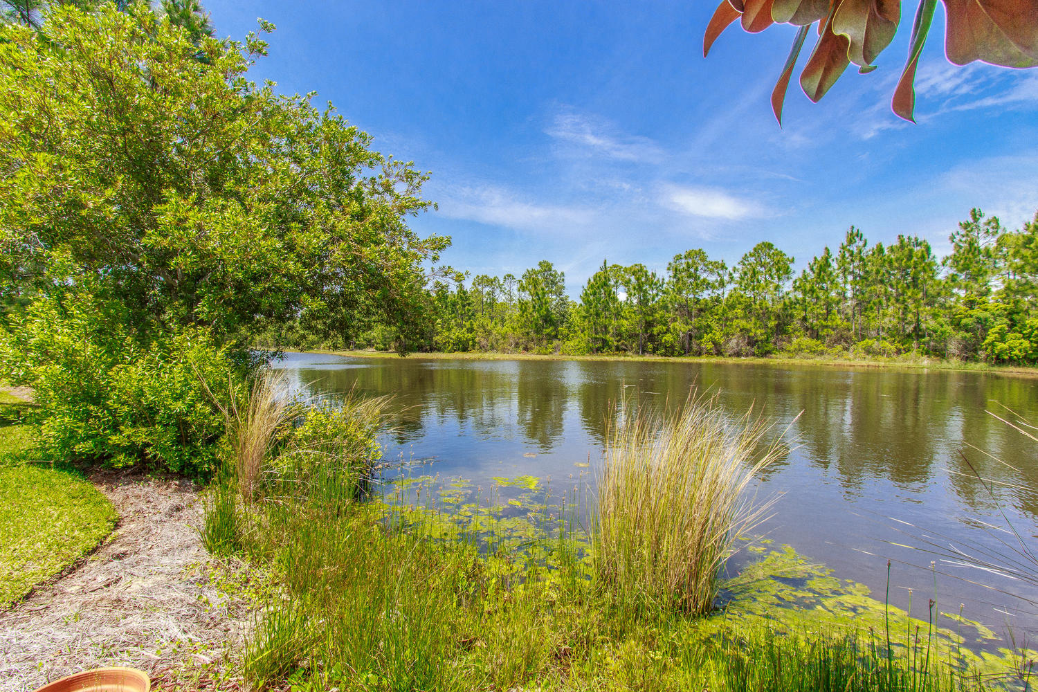 Palmetto Trace - Residential